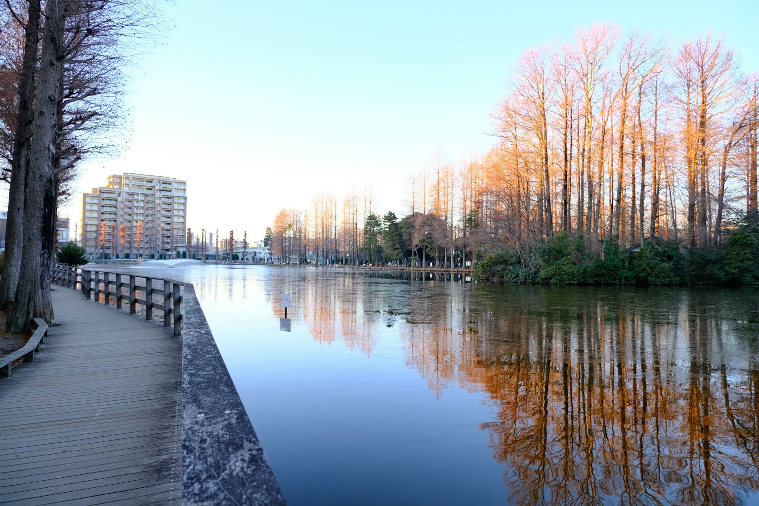 Vista tranquila del río con árboles y edificios reflejados
