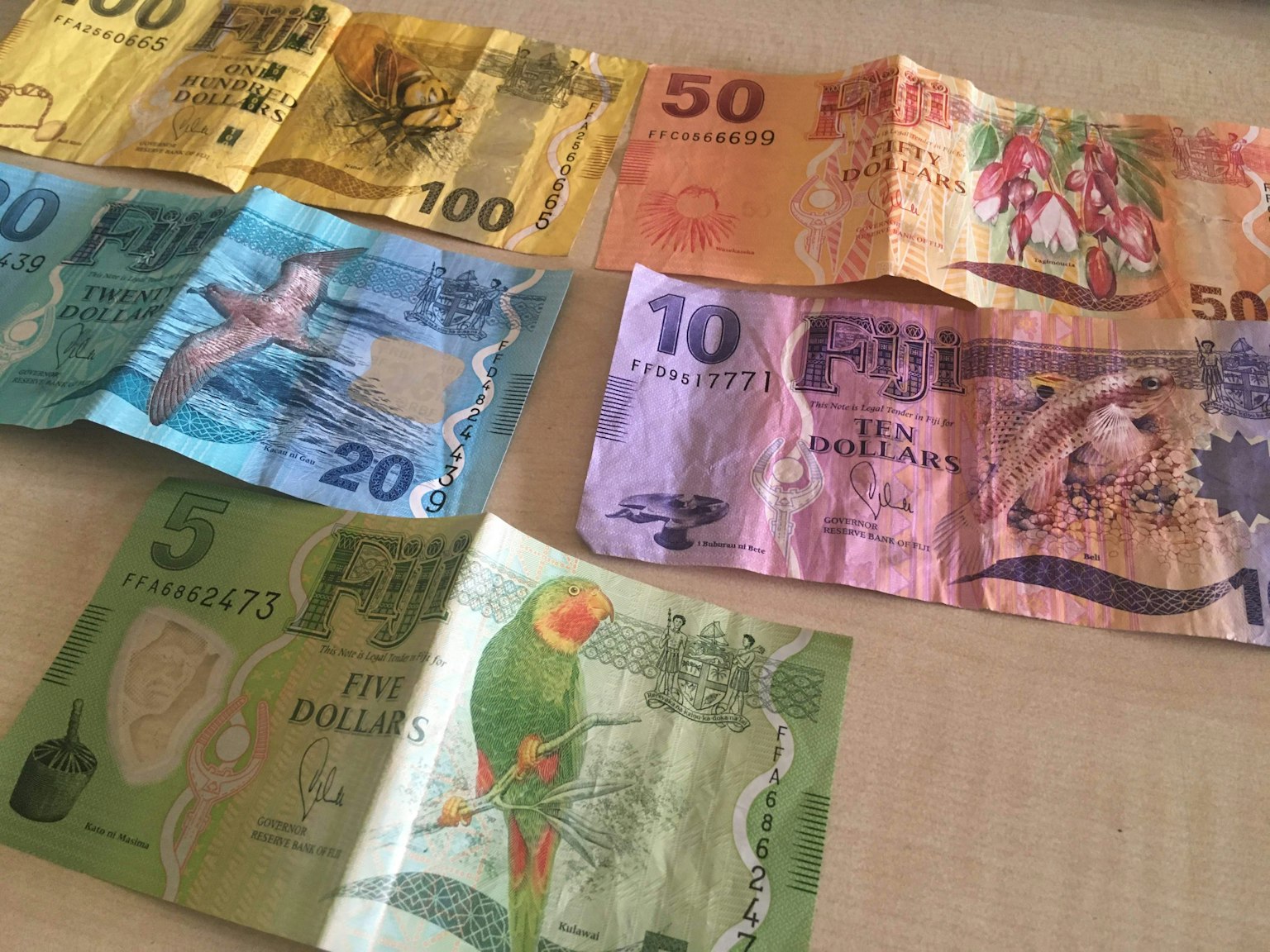 Assortiment coloré de billets de banque affiché sur une surface plane