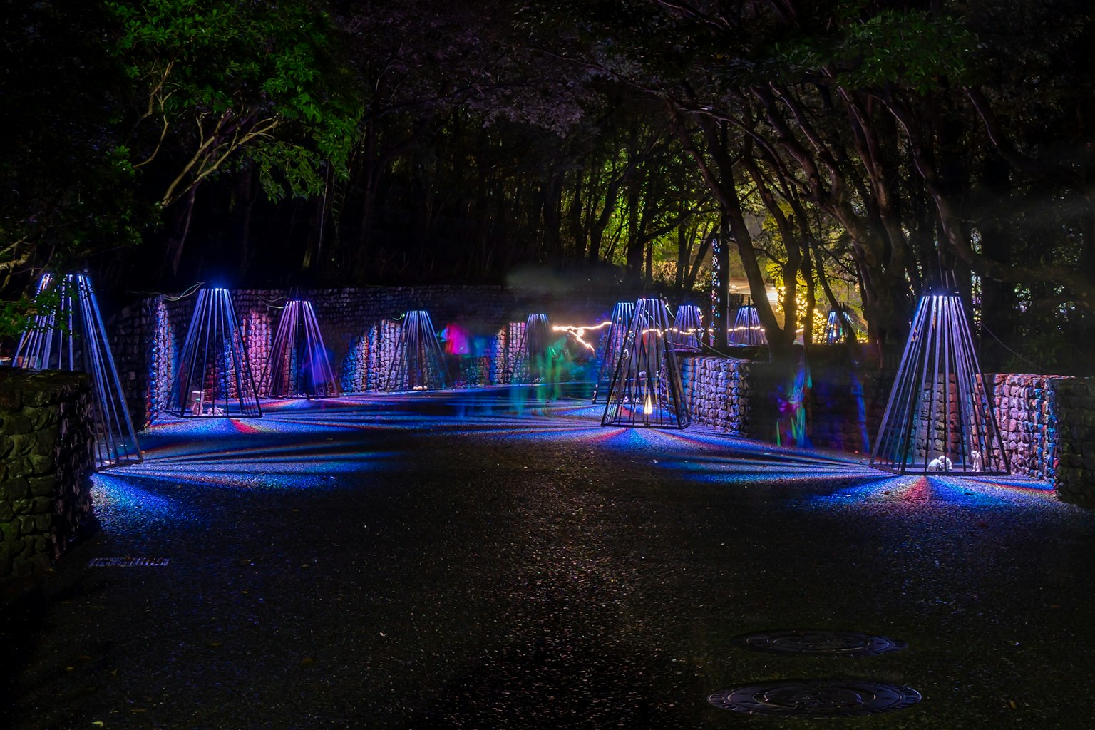 夜晚公园里的彩色喷泉