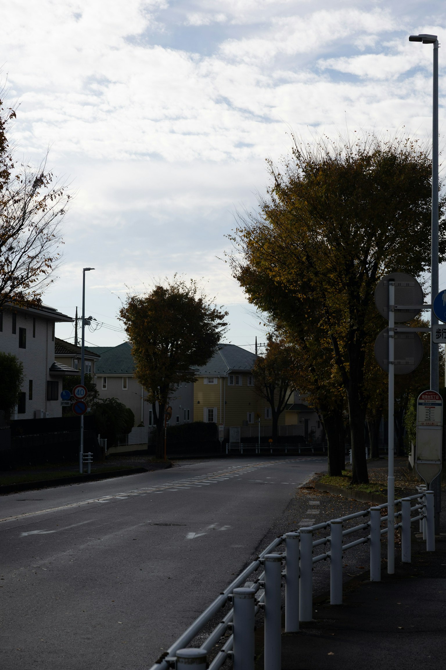 Jalan tenang yang dipenuhi pohon dan langit mendung
