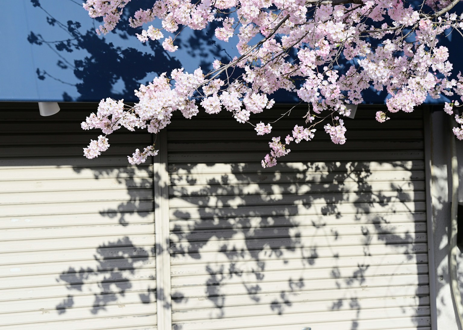 photo-AUPkNJxuGjW62ot06m7D-image