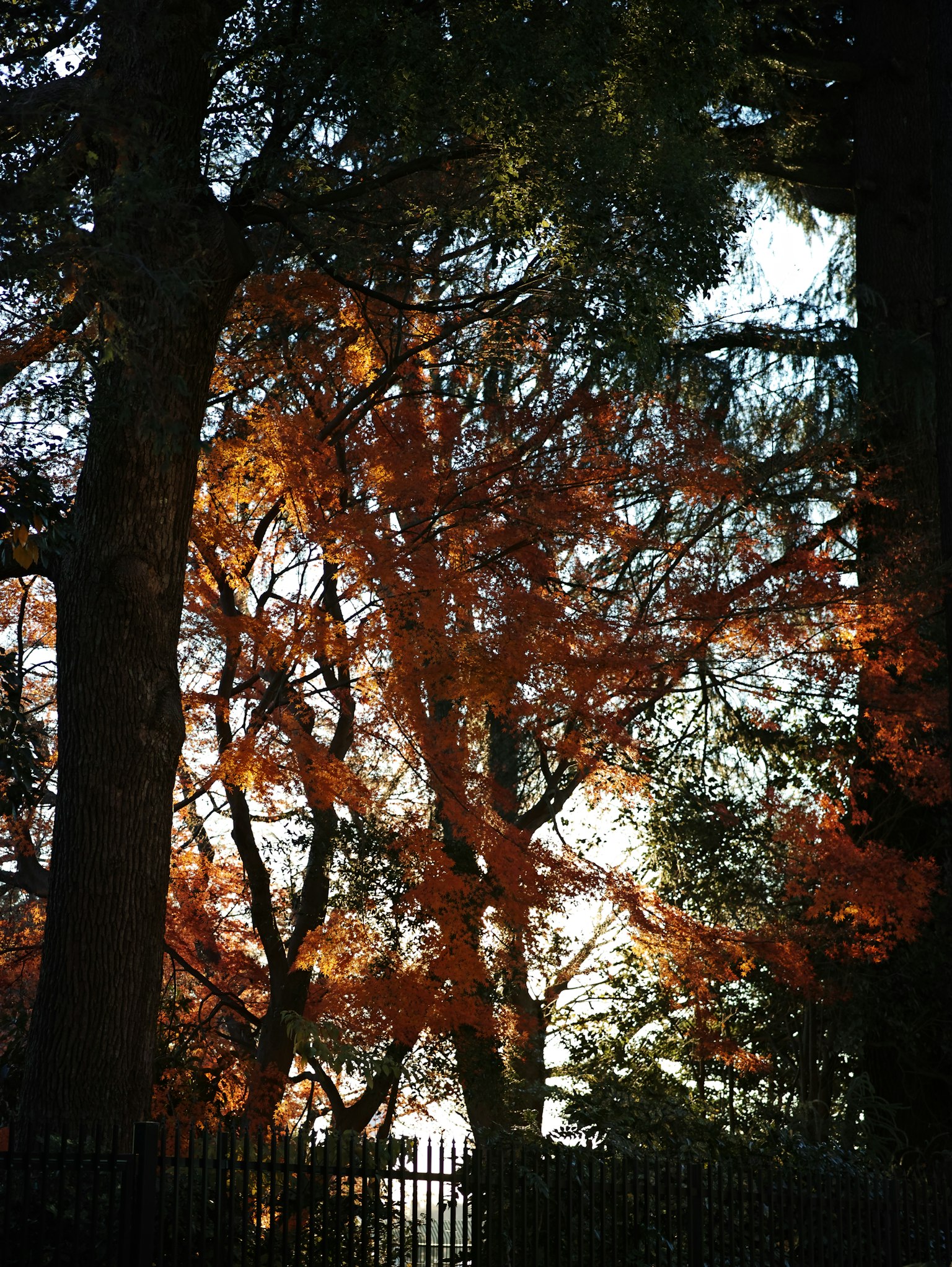 photo-AURSn0Mu44OPOwo4S2d0-image