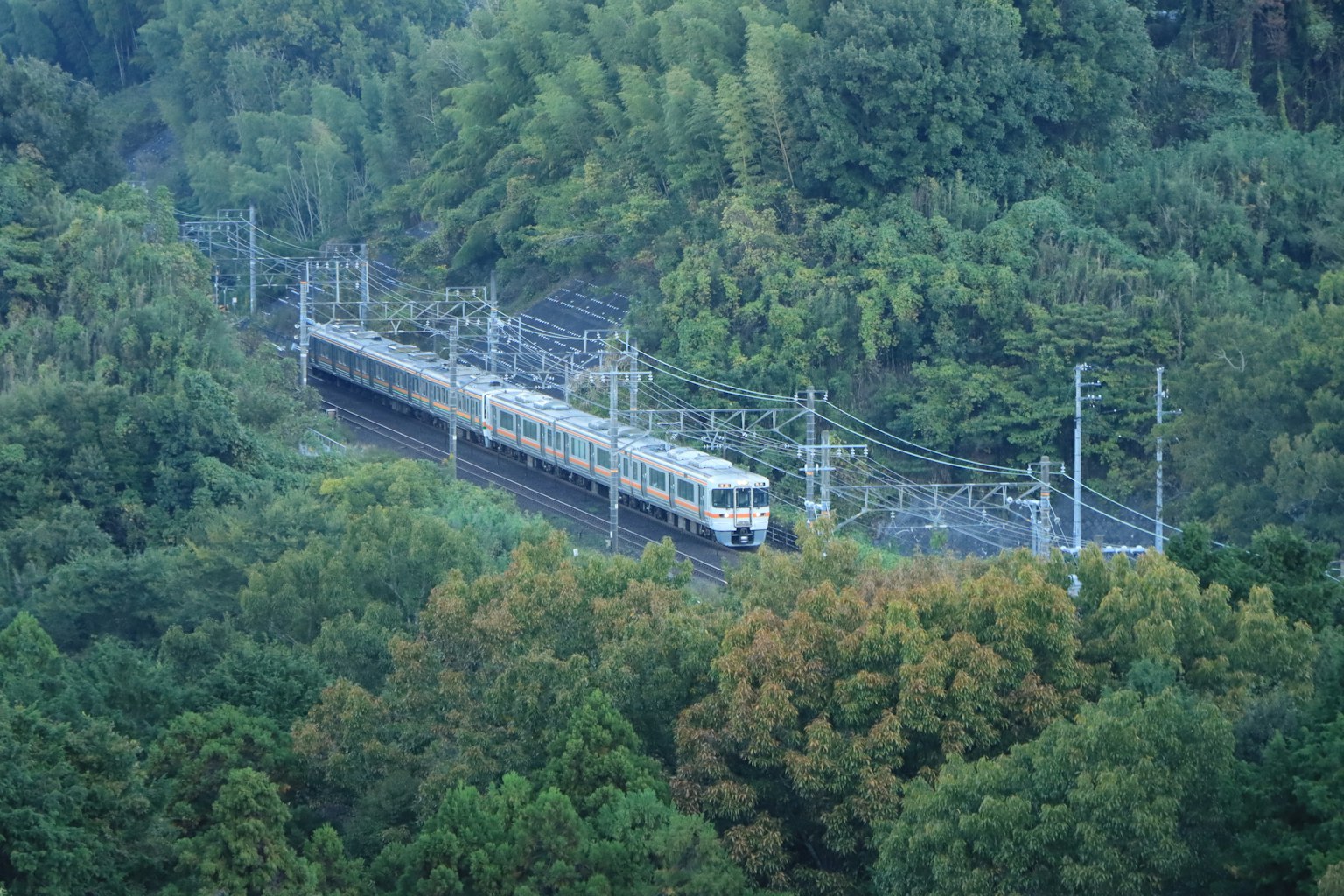รถไฟที่วิ่งผ่านทิวทัศน์ป่าไม้เขียวขจี