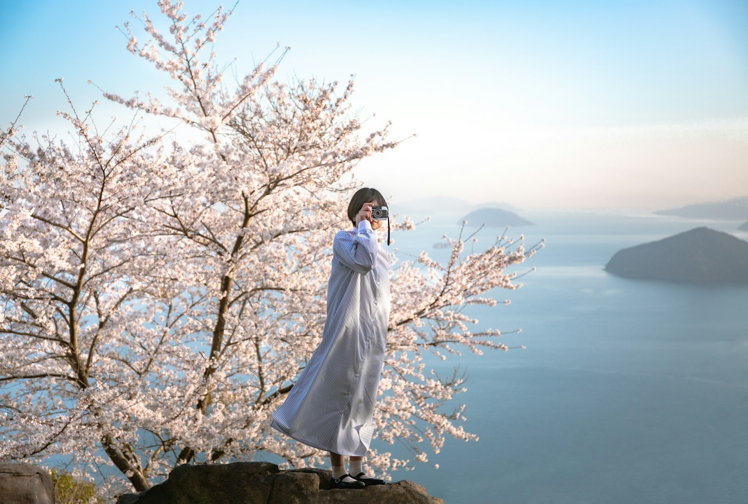 一位女性站在樱花树下，背景是大海