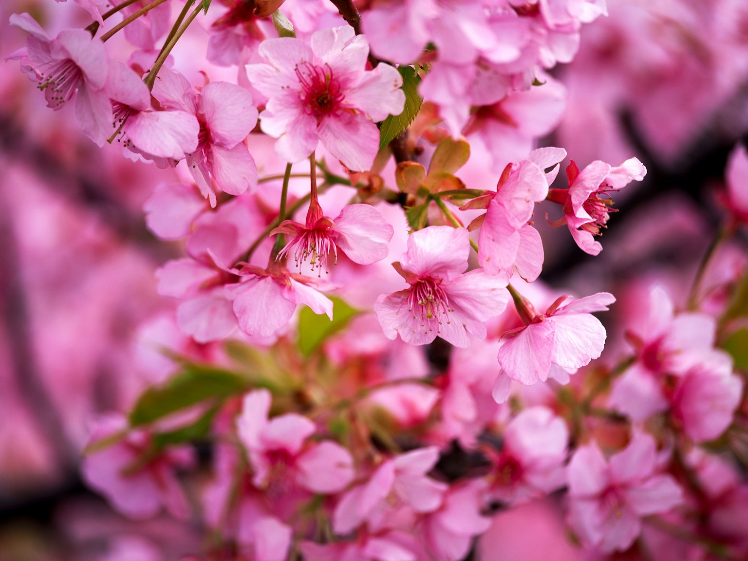 photo-AUwdDWzDWGqjB0ZYEaso-image