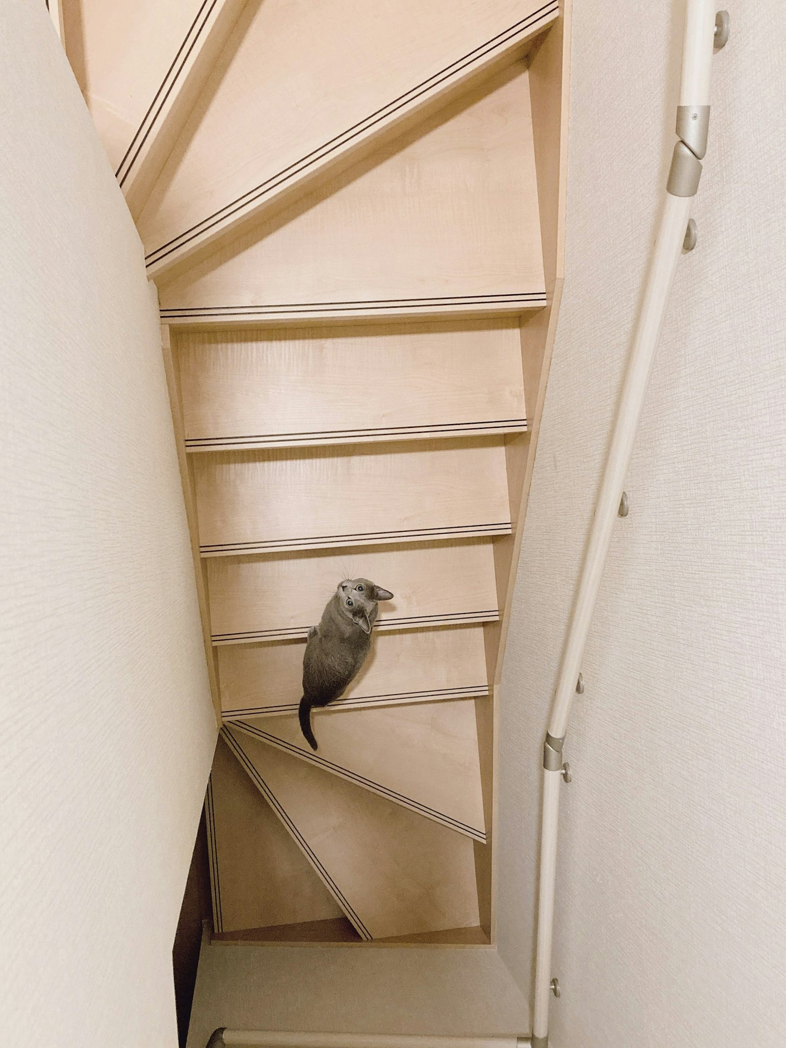 A squirrel sitting on a spiral staircase