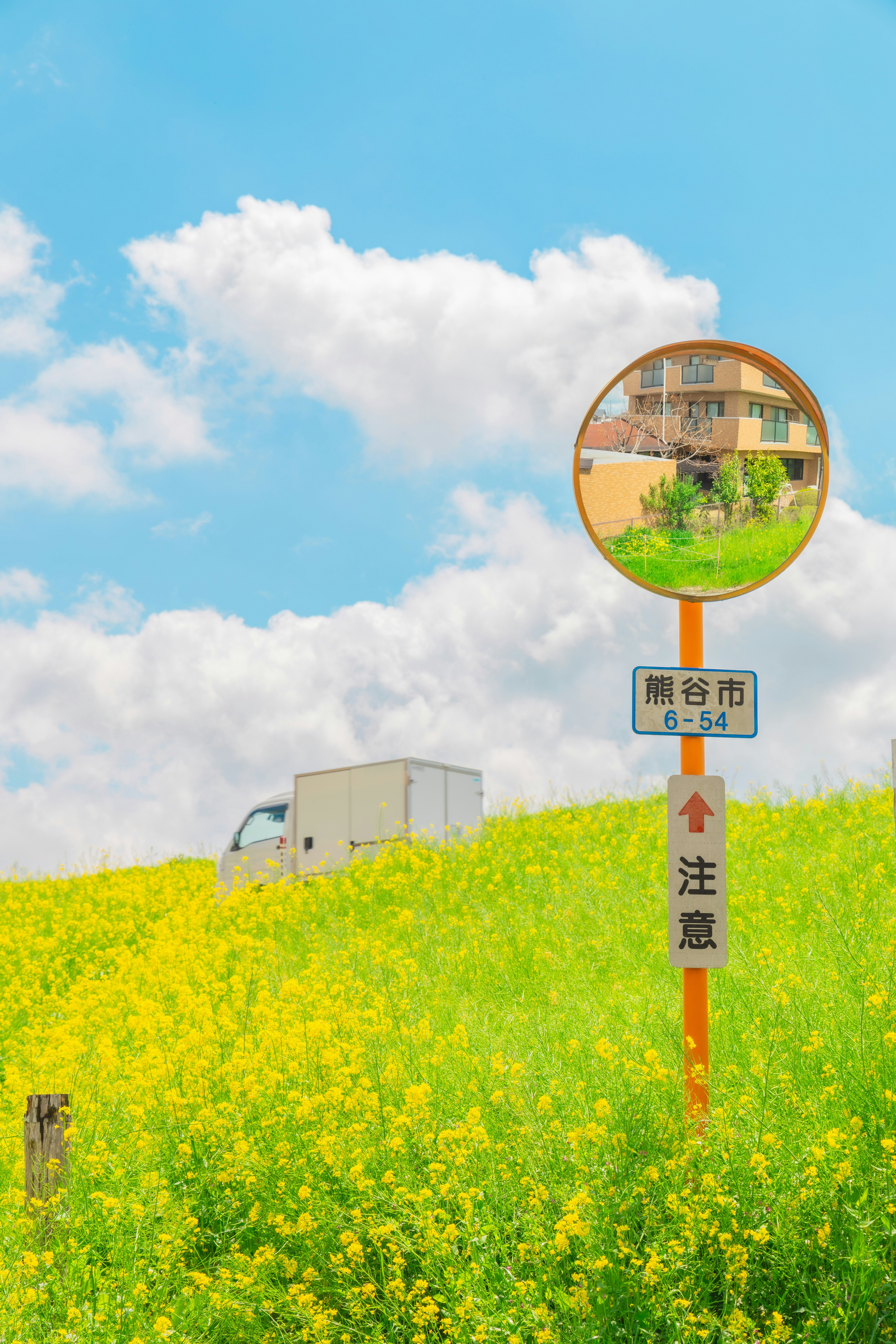 黄色い菜の花畑と青空の下に立つ標識