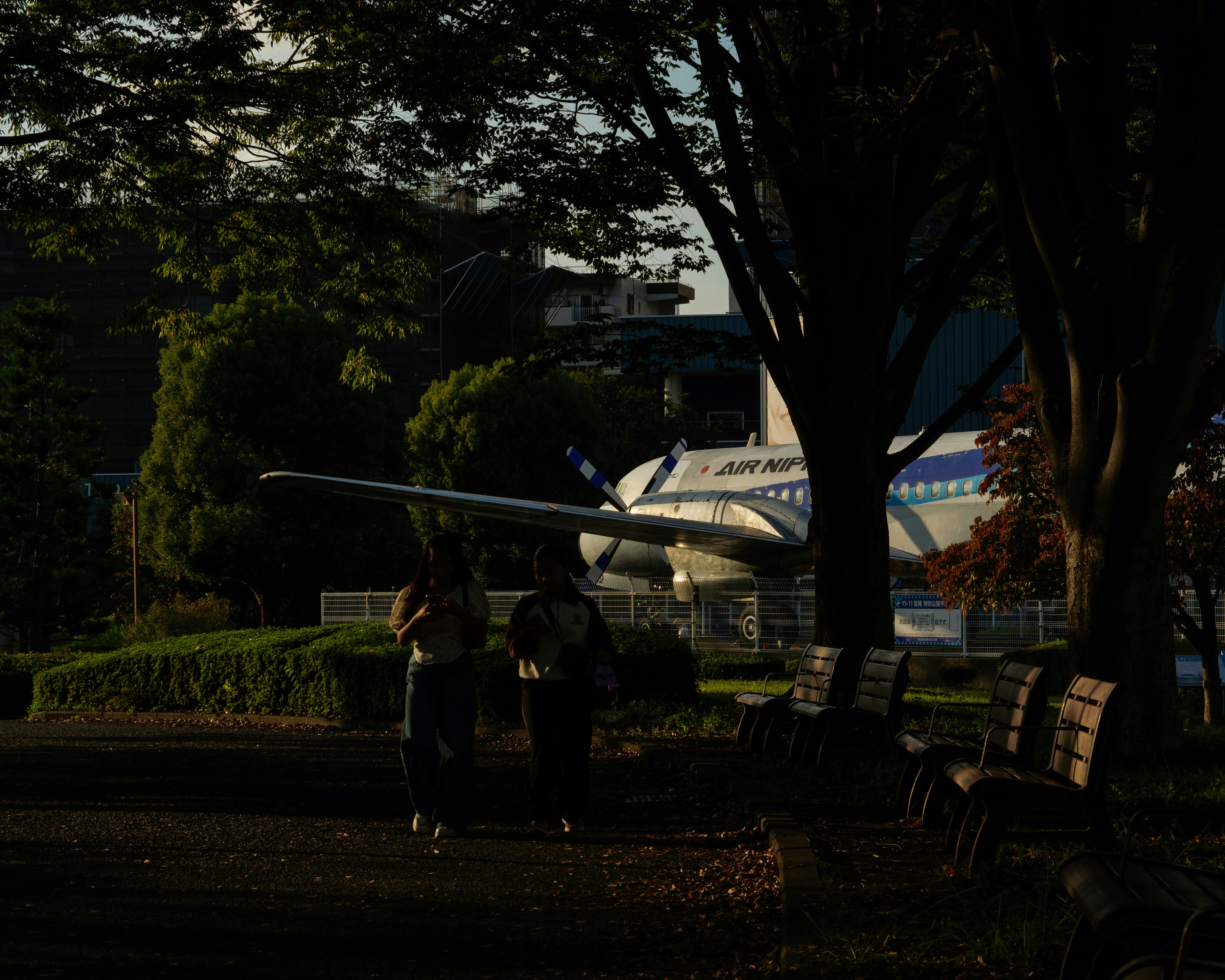 夕刻の木々のそばに停まる飛行機