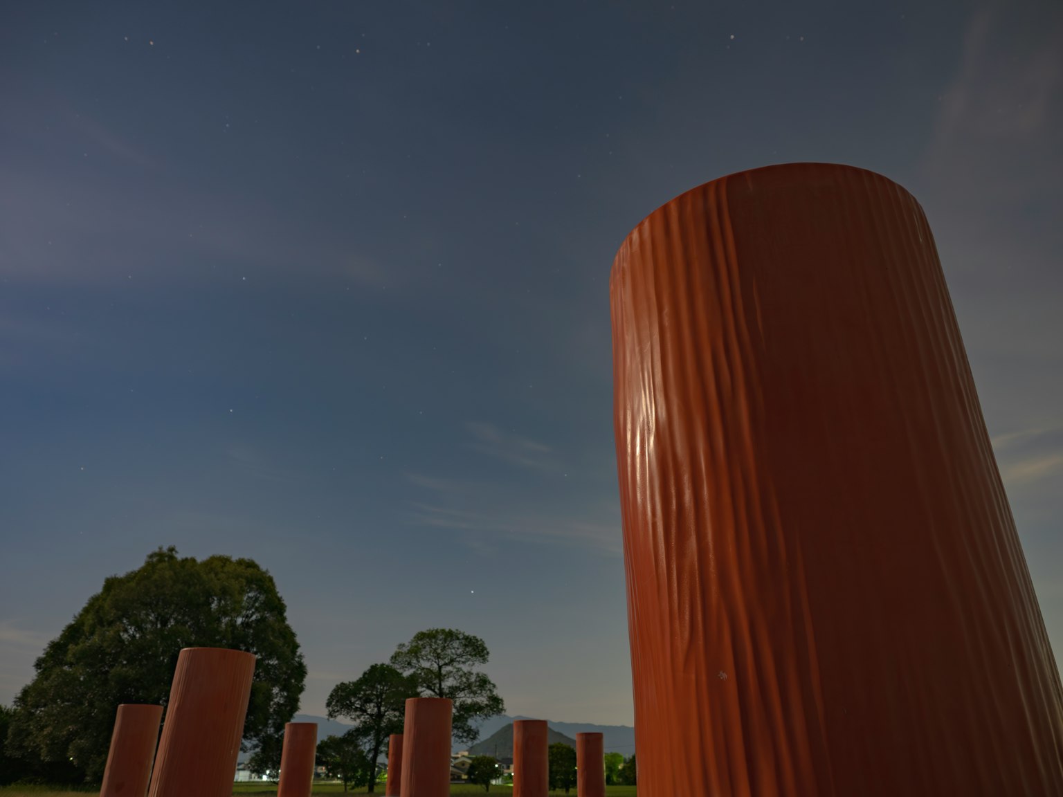 Multiple brown pillars under the night sky with a green tree