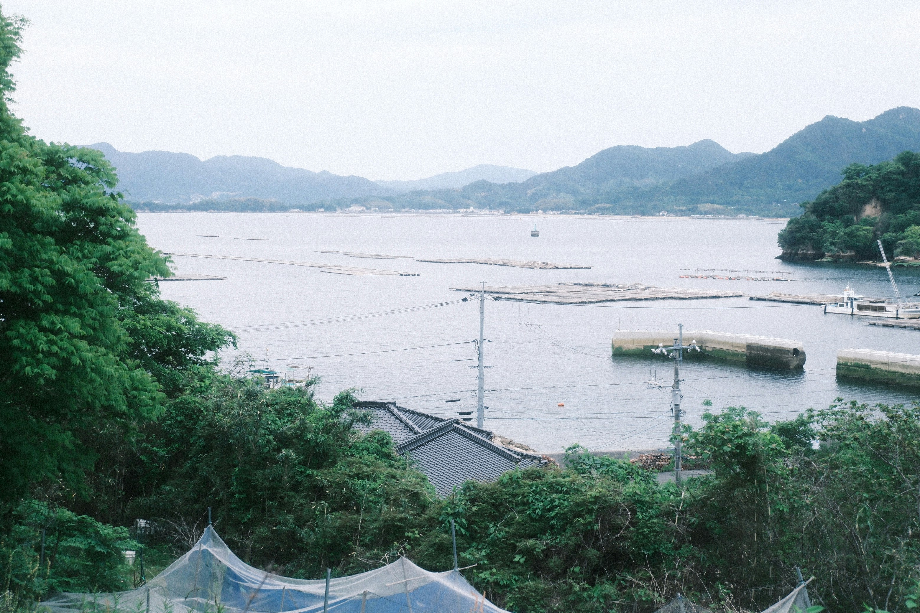 川沿いの桟橋と遠くの山並みを望む風景