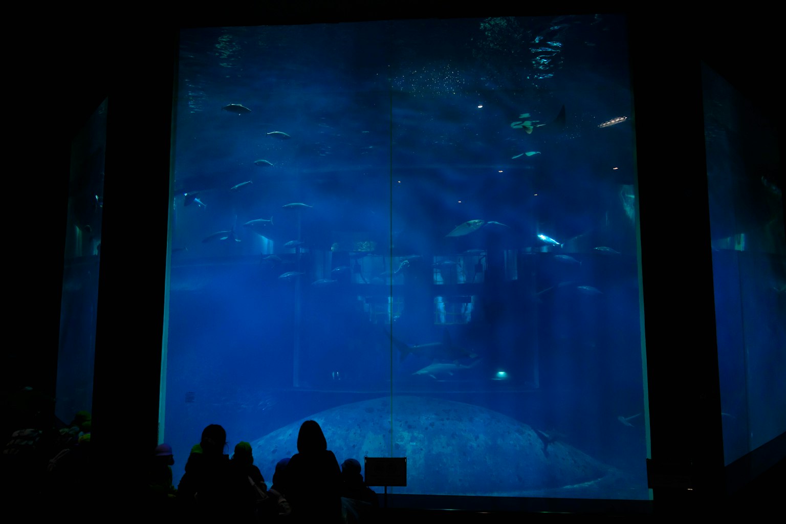 Silhouette di persone davanti a un grande acquario pieno d'acqua blu