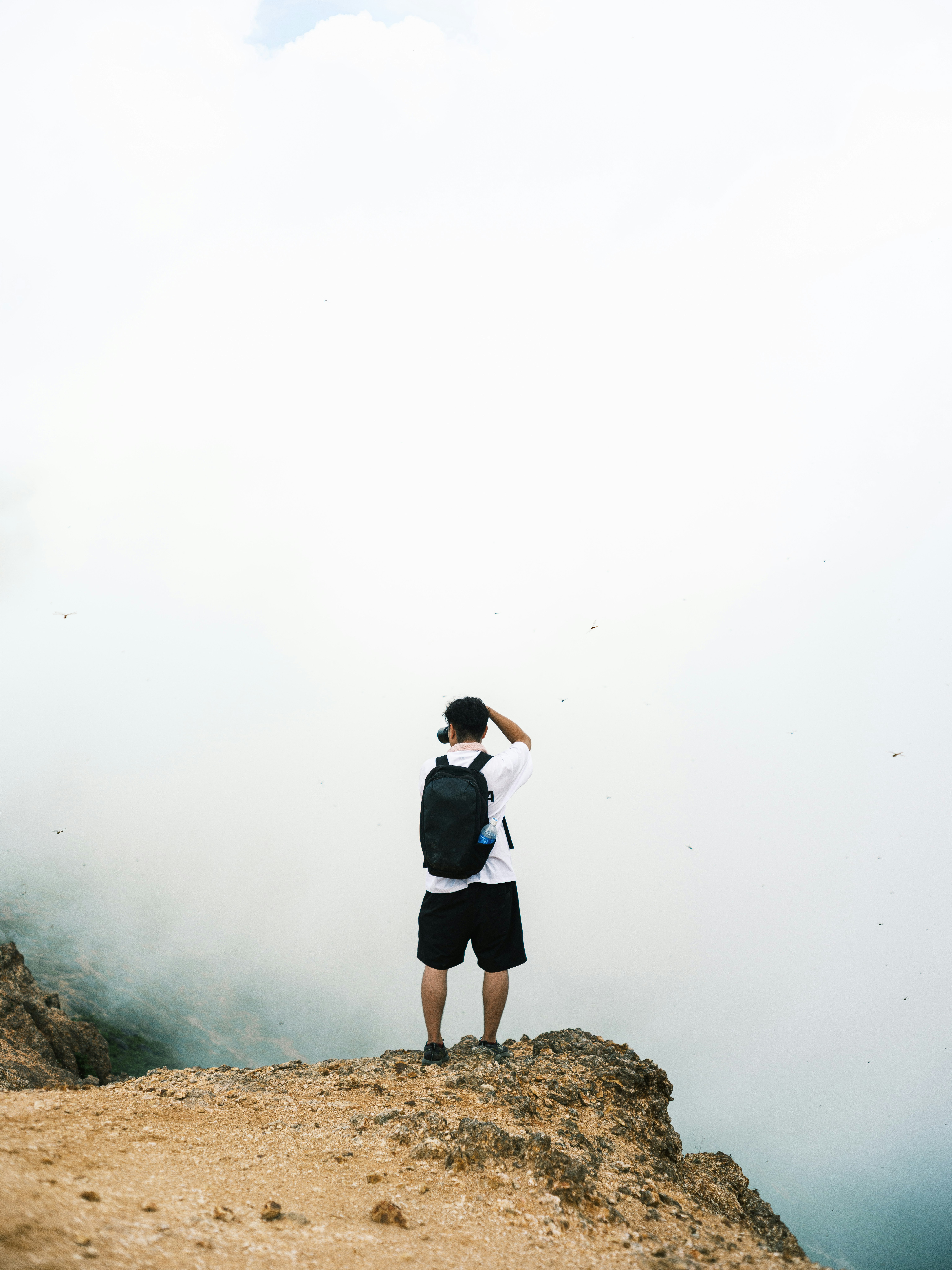 a person standing on a rocky cliff looking into the mist