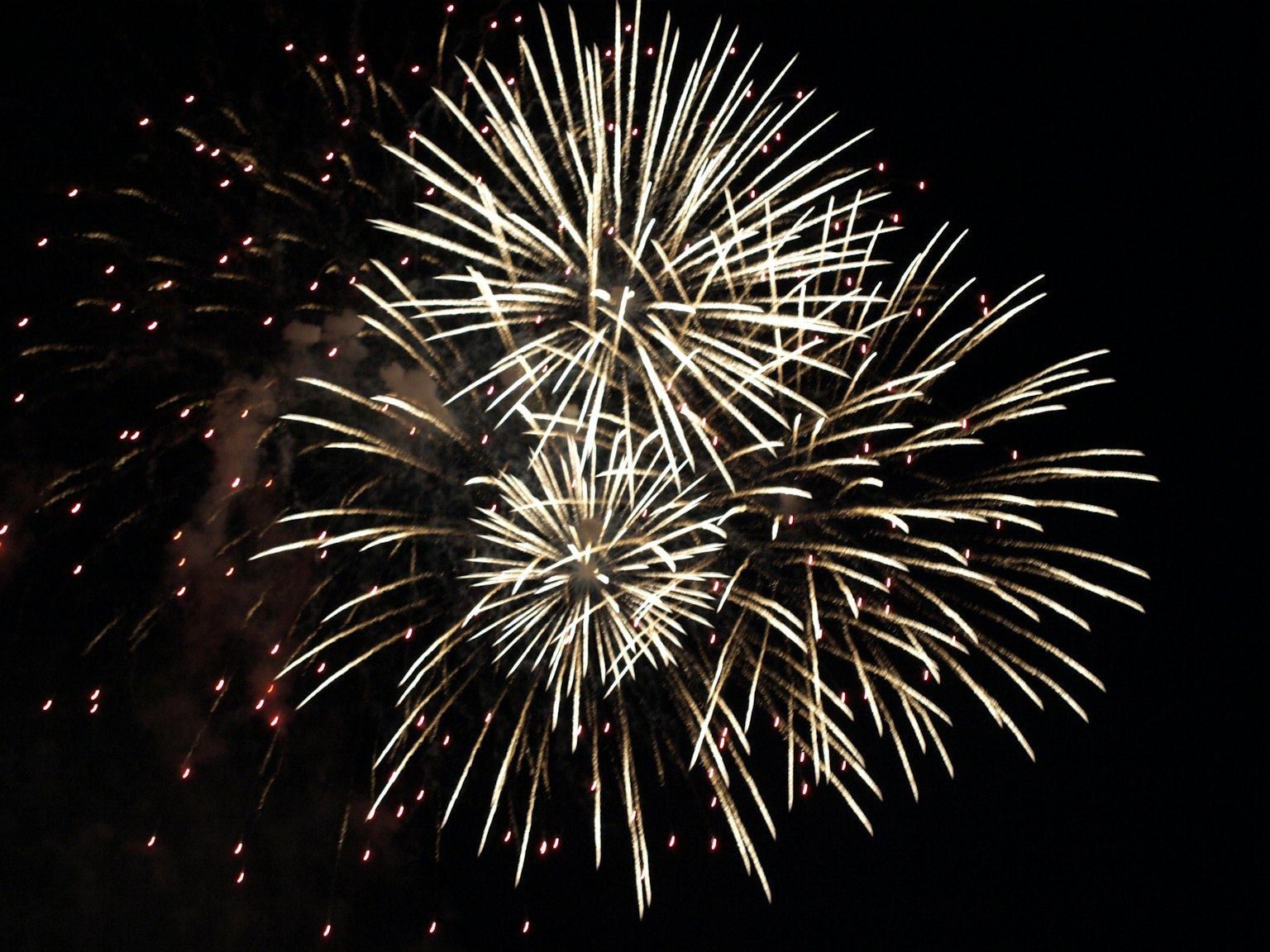 Cluster of white fireworks blooming in the night sky
