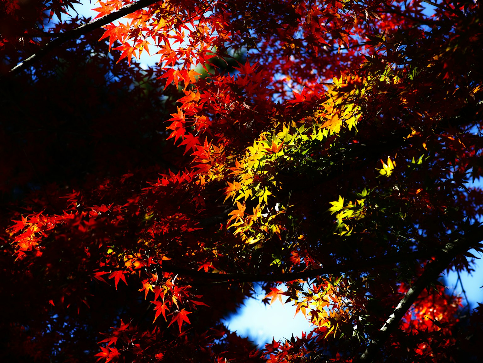 photo-AXSJk1AIrq9Ng5o7wU39-image