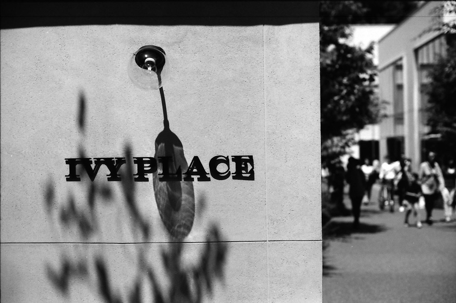 Panneau Ivy Place avec l'ombre d'une feuille et des piétons en arrière-plan