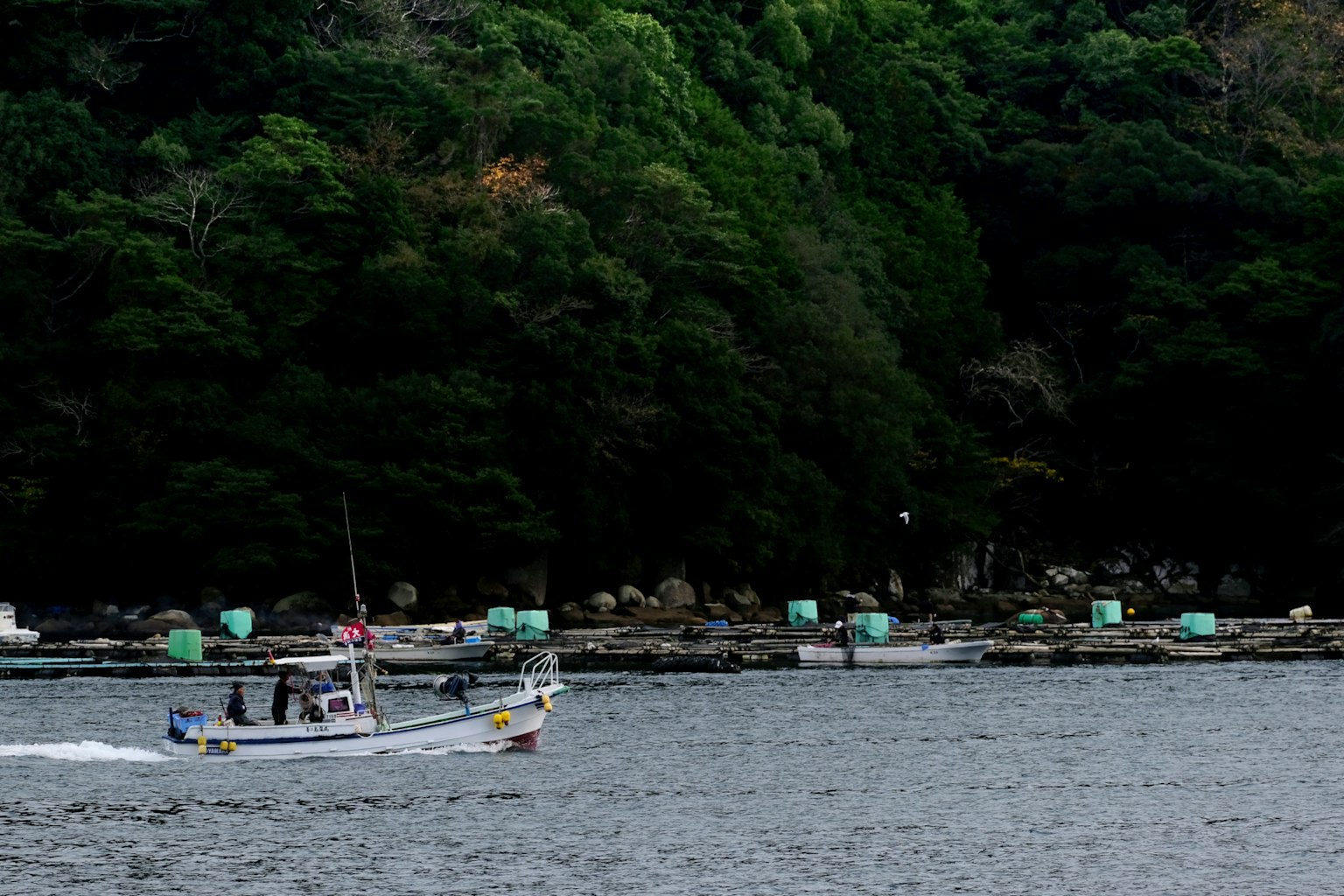Perahu nelayan yang berlayar di air dikelilingi pepohonan hijau