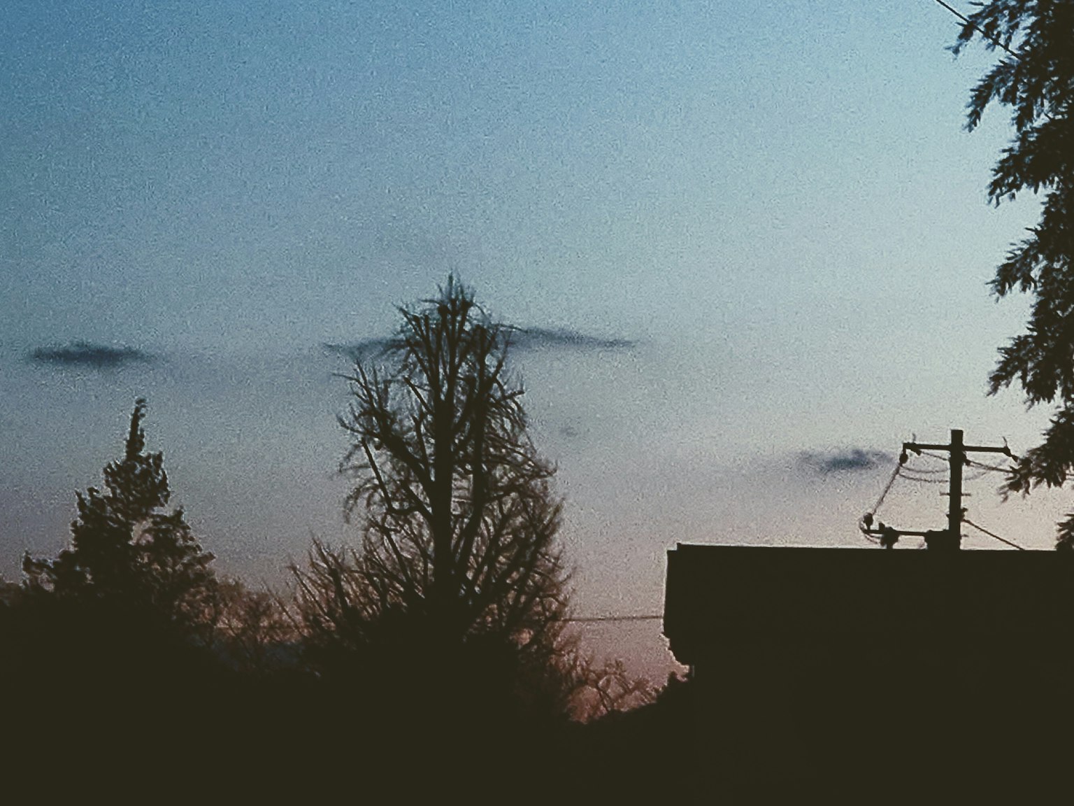 Silhouette d'arbres et d'un bâtiment pendant le crépuscule