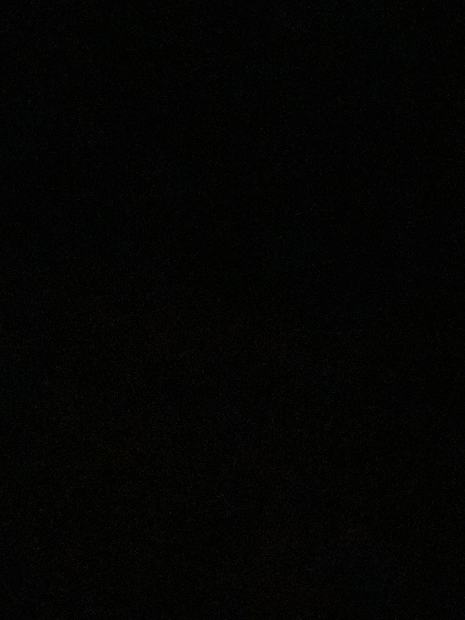 图像呈现完全黑色的背景