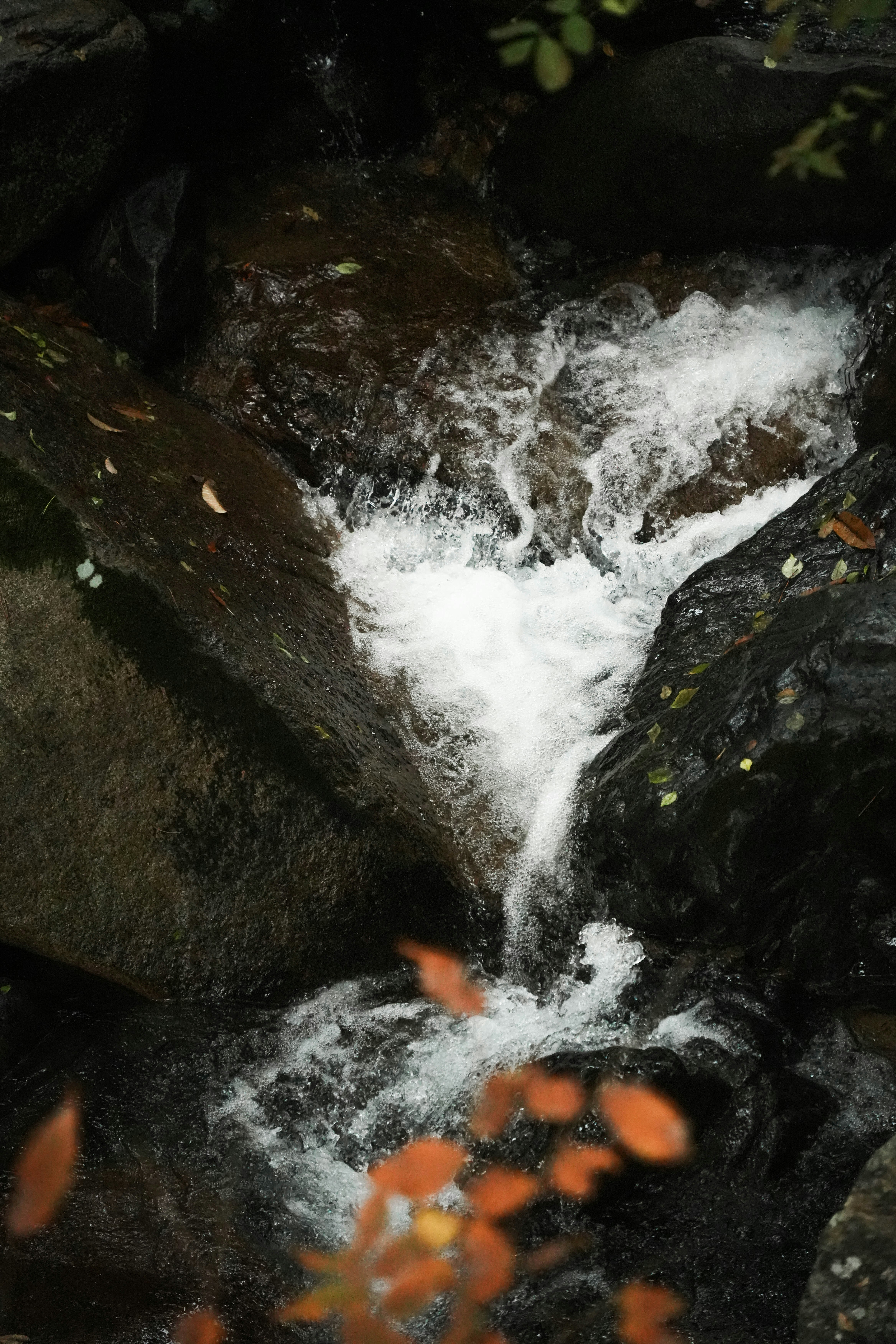 photo-AZ0cCnPPa6fotvalwscm-image