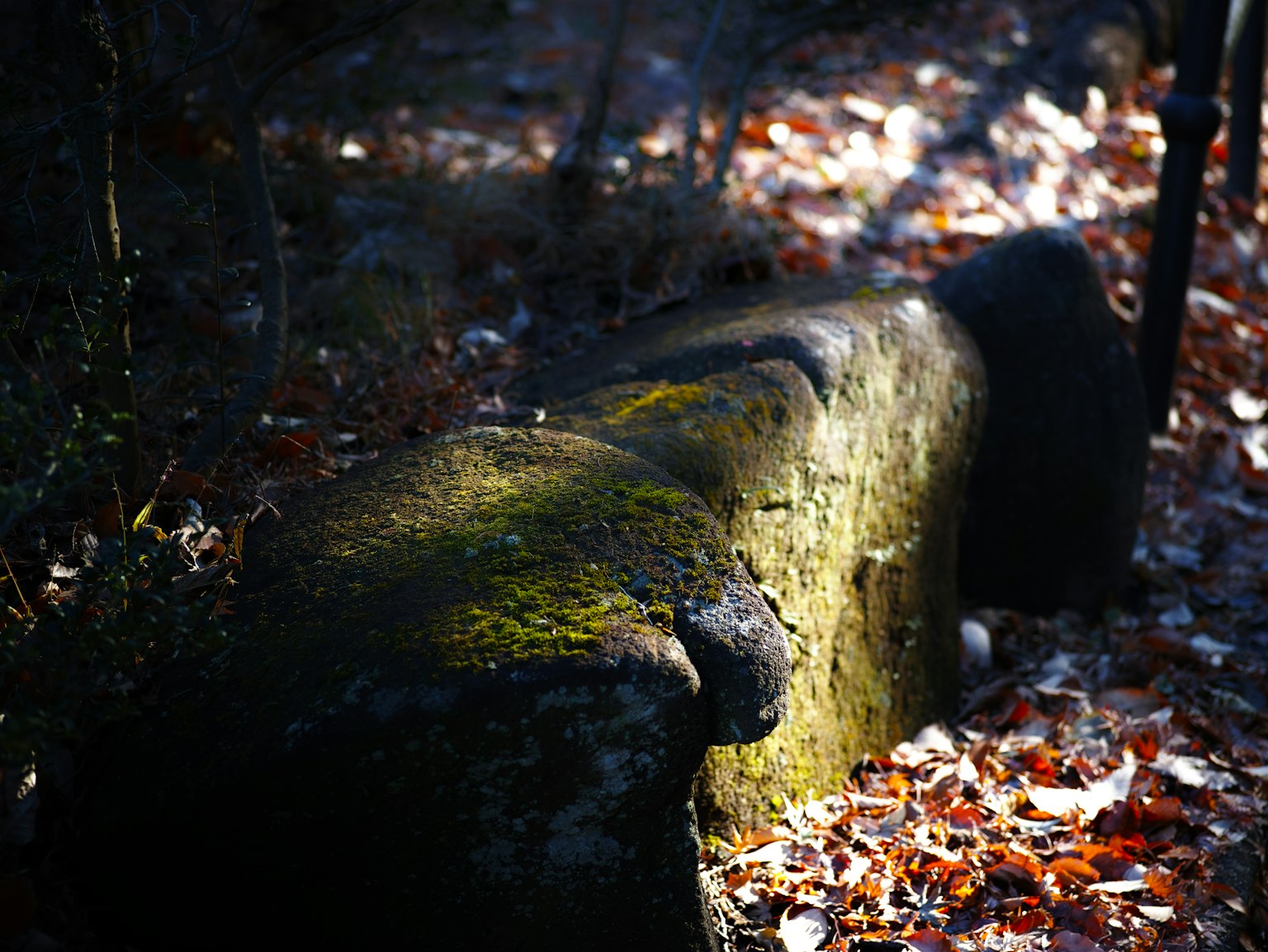Sculpture en pierre couverte de mousse dans une forêt sombre avec des feuilles tombées
