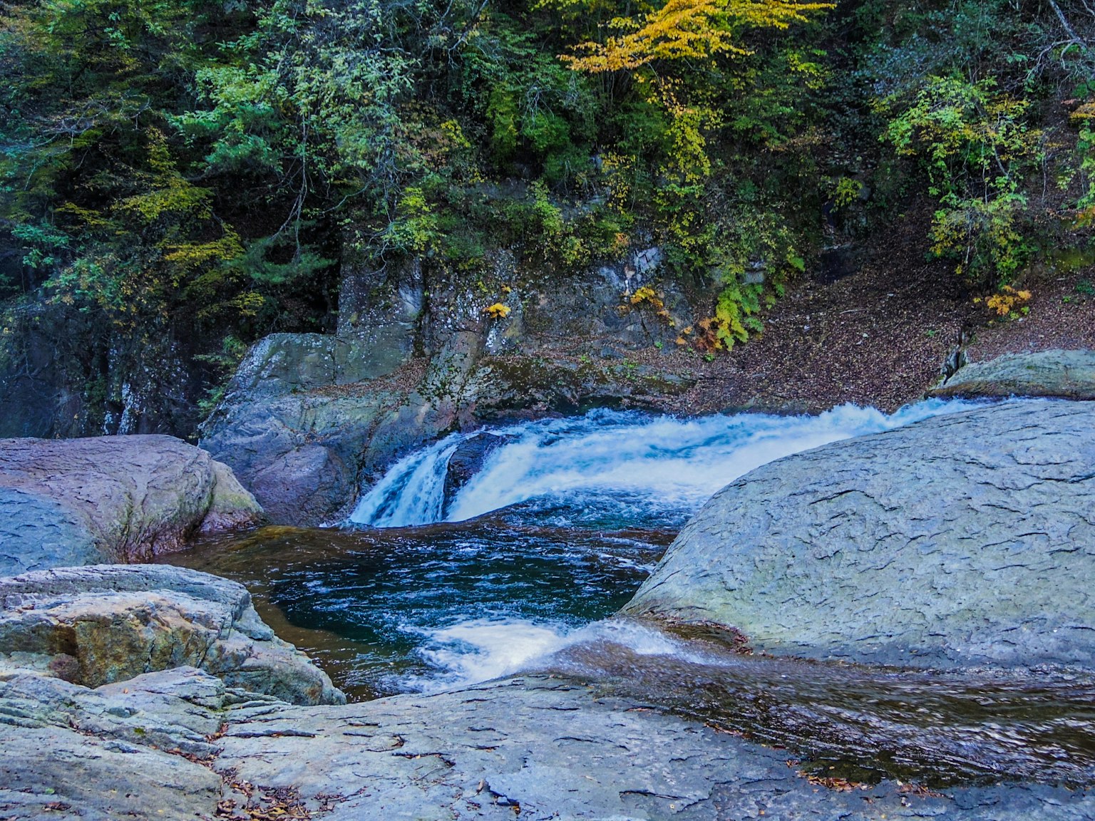 瀑布和流動河流的美麗景觀，周圍環繞著郁郁蔥蔥的綠樹
