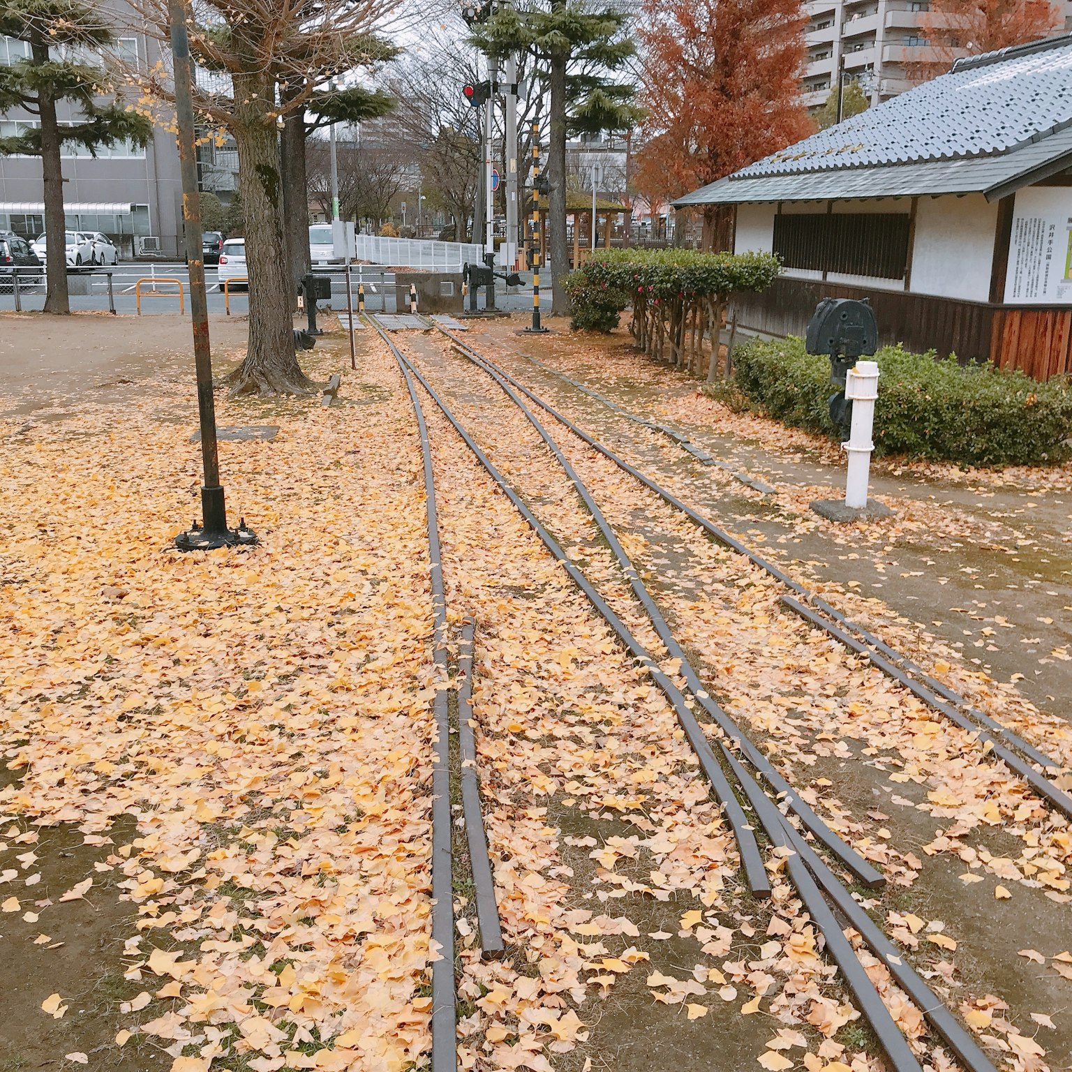 A park pathway covered with yellow autumn leaves and railway tracks