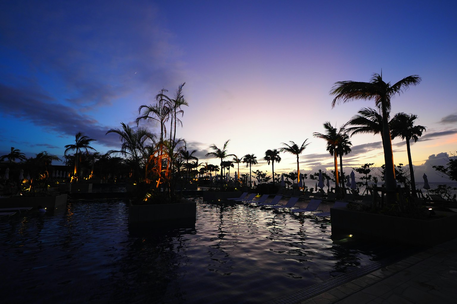 Bellissimo tramonto con palme silhouette e una piscina