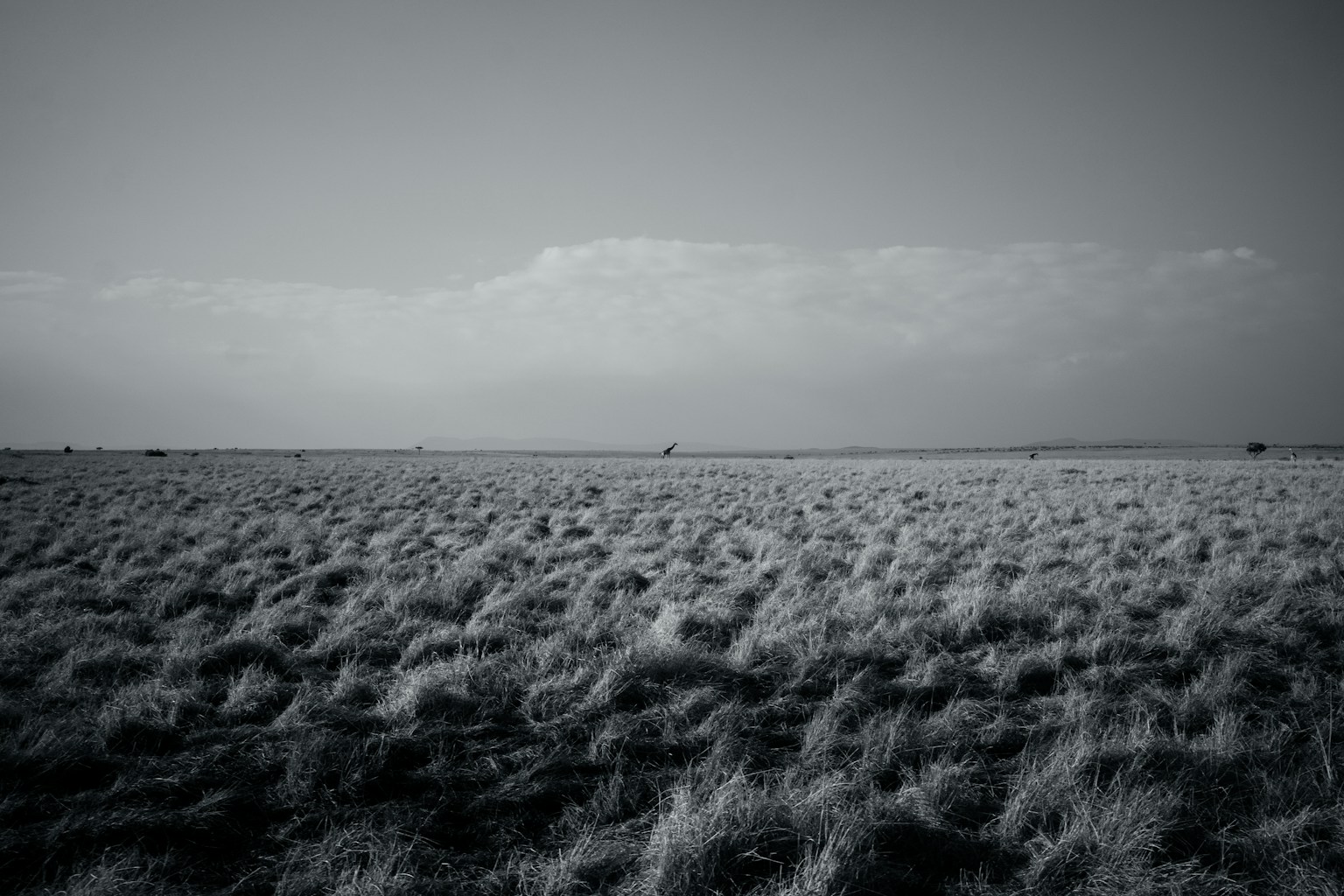 Desain kotak abu-abu sederhana di latar belakang gelap