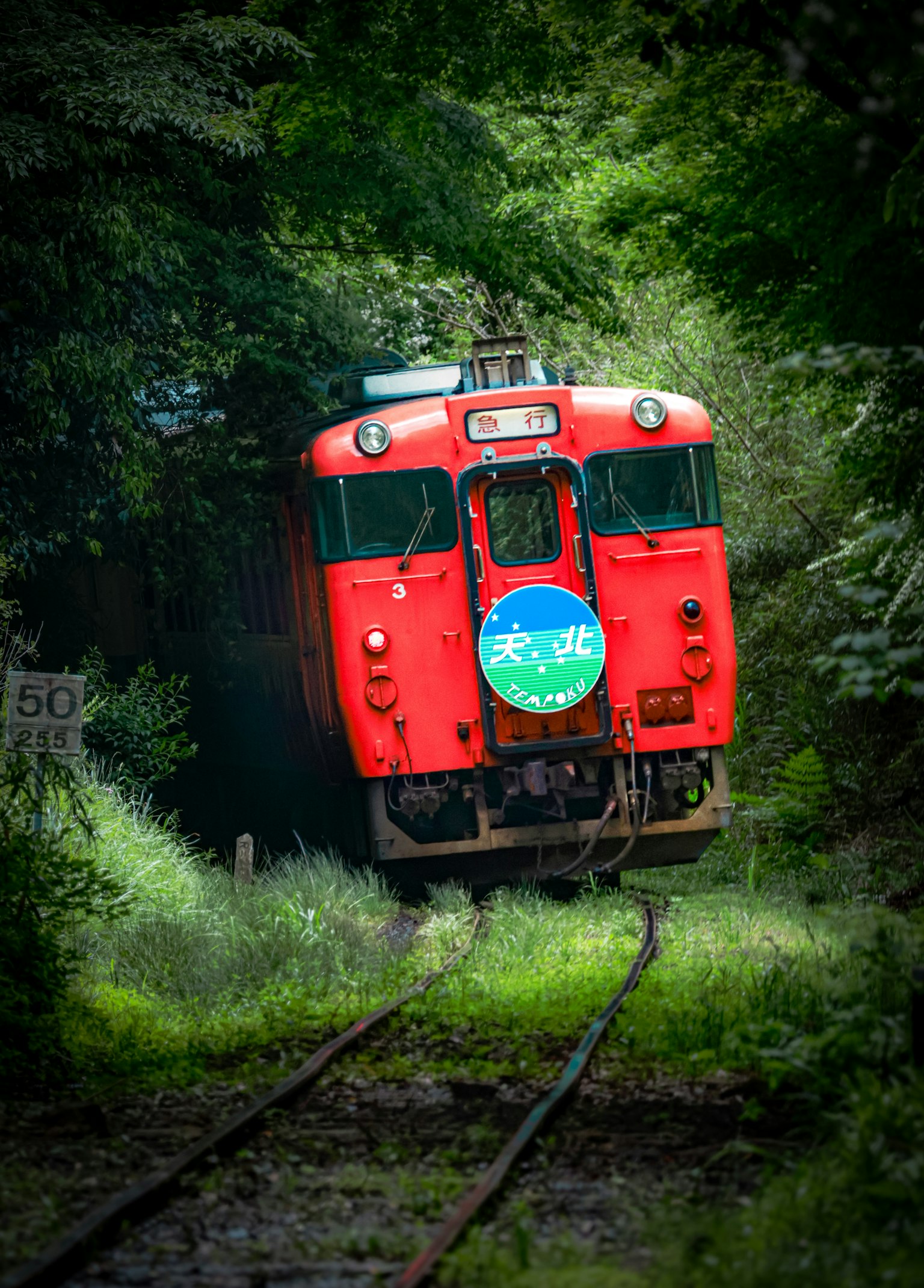 photo-Aa84n5yp63JW1pnyLRWD-image