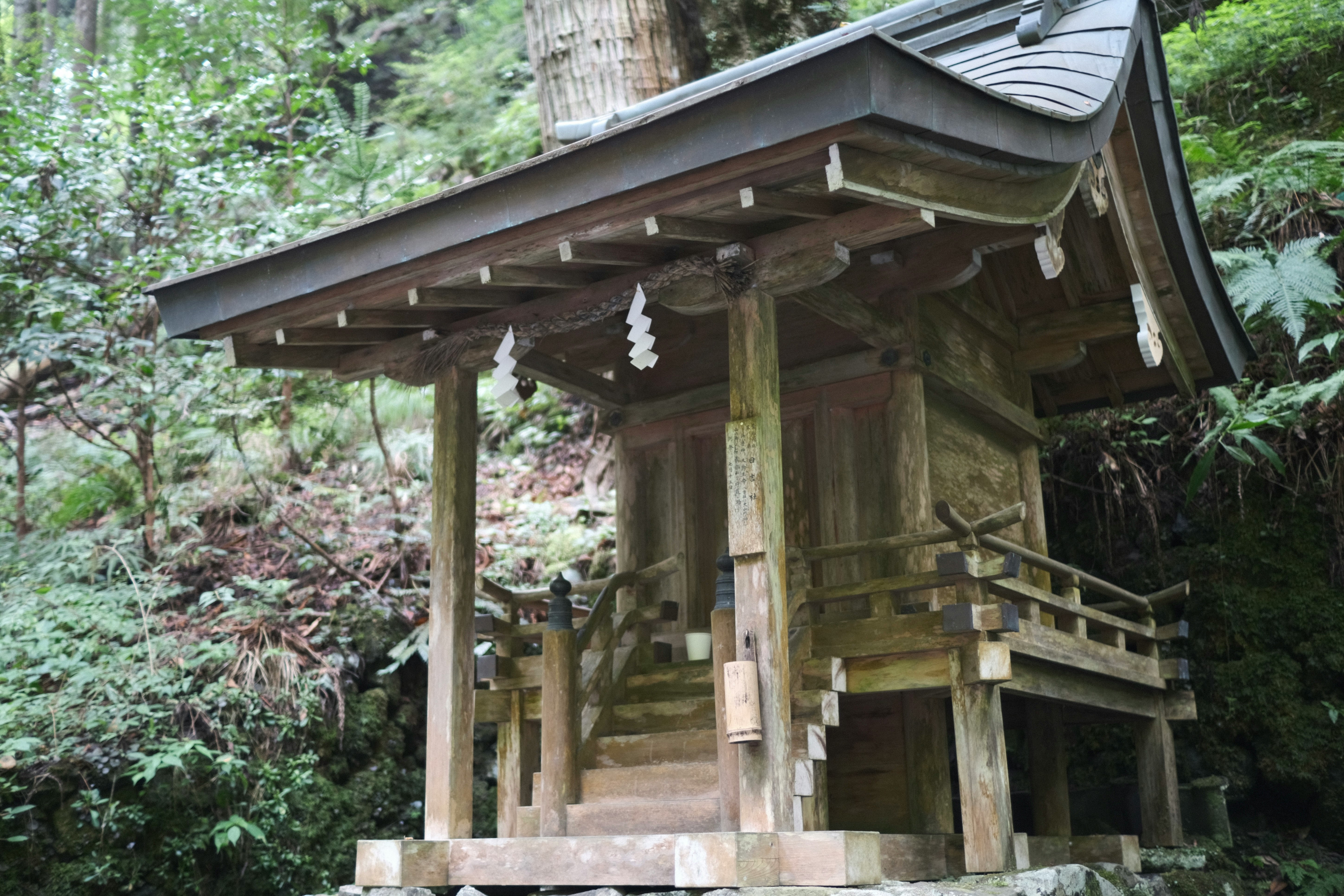 森の中の木製の小さな祠（神社）