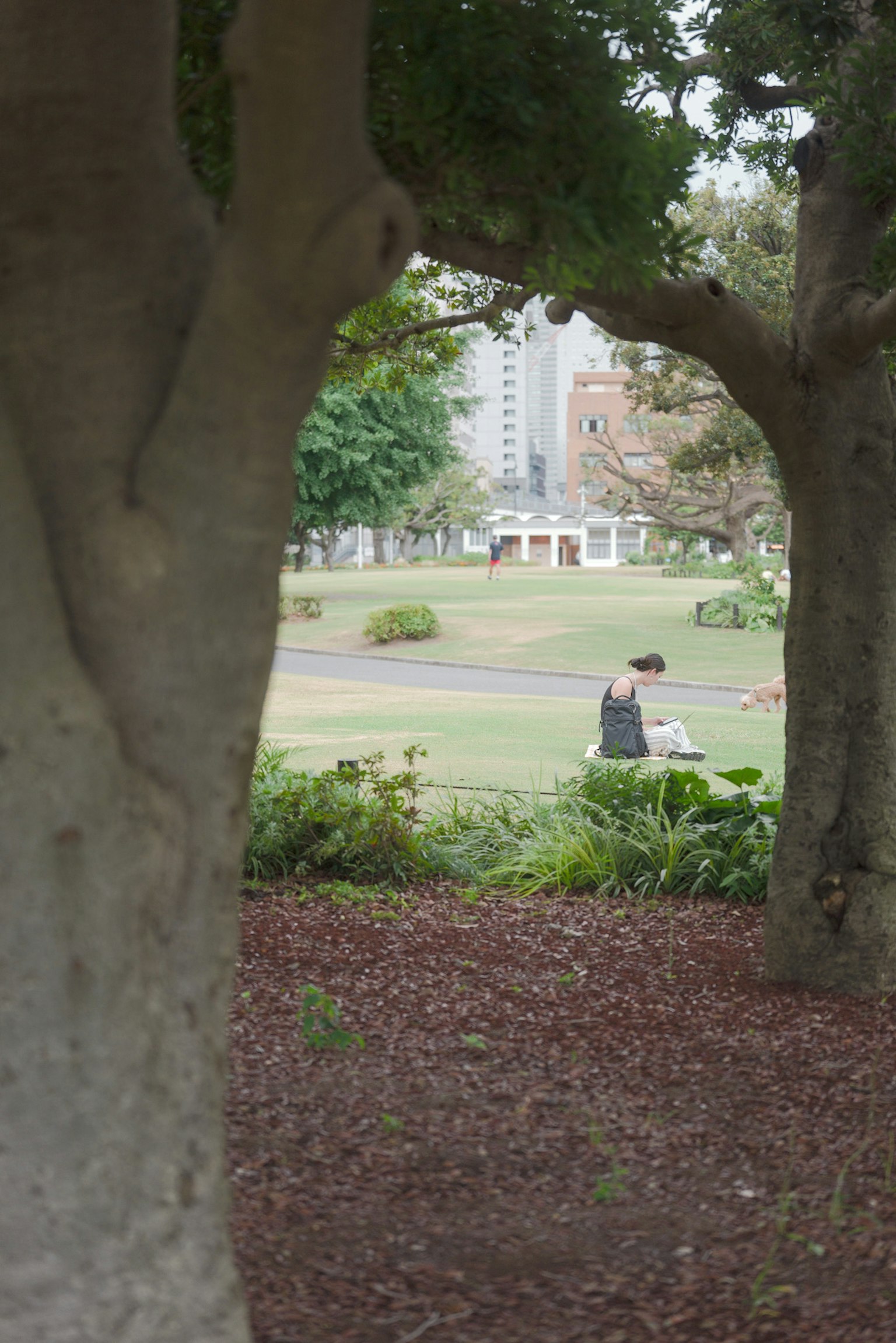 도시 배경을 배경으로 나무 사이에 보이는 공원에 앉아 있는 사람