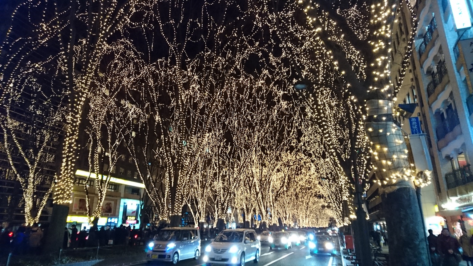 ถนนที่มีต้นไม้ประดับด้วยไฟระยิบระยับในเวลากลางคืน