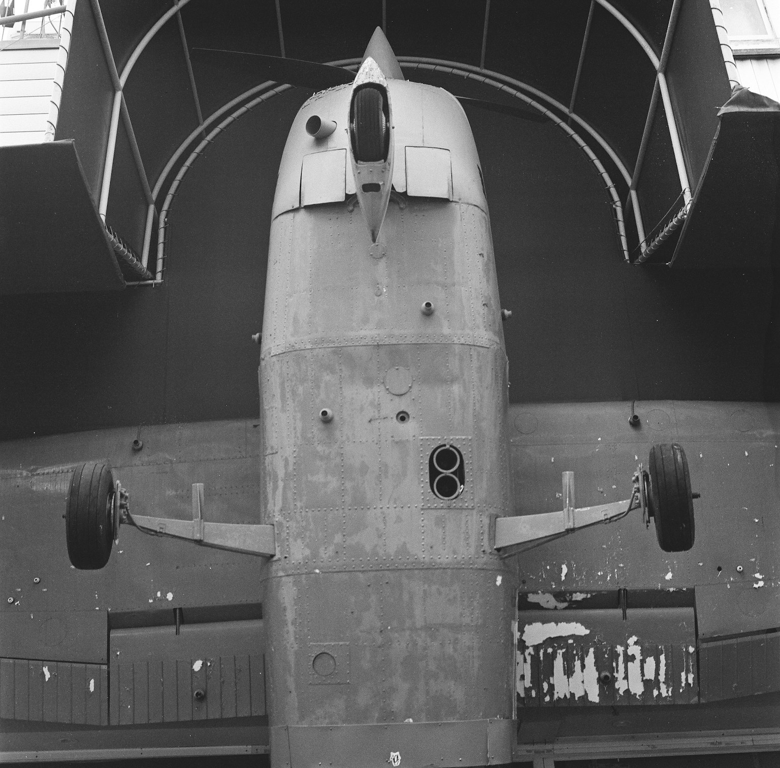 View of an aircraft from below with the fuselage displayed upside down