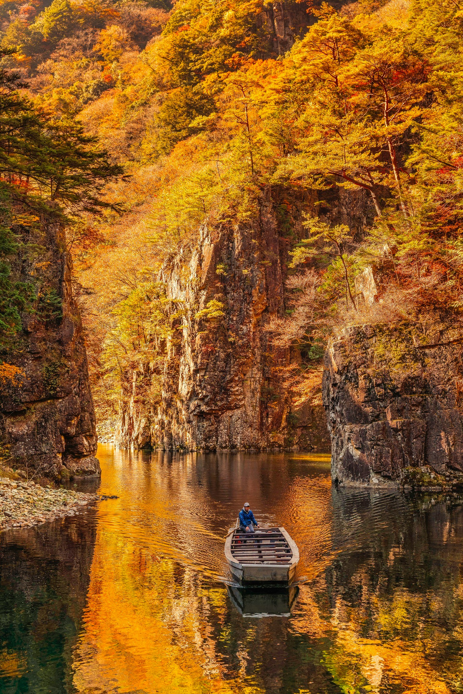 秋の色に包まれた渓谷を進む小舟の風景
