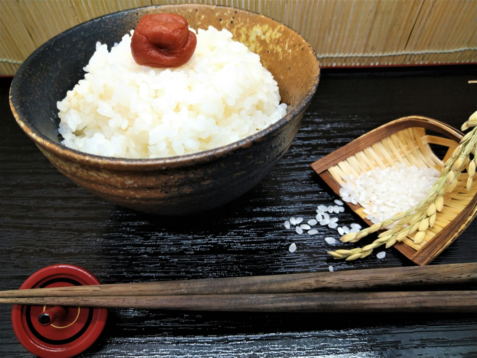 Bowl of white rice topped with a pickled plum in a Japanese style presentation