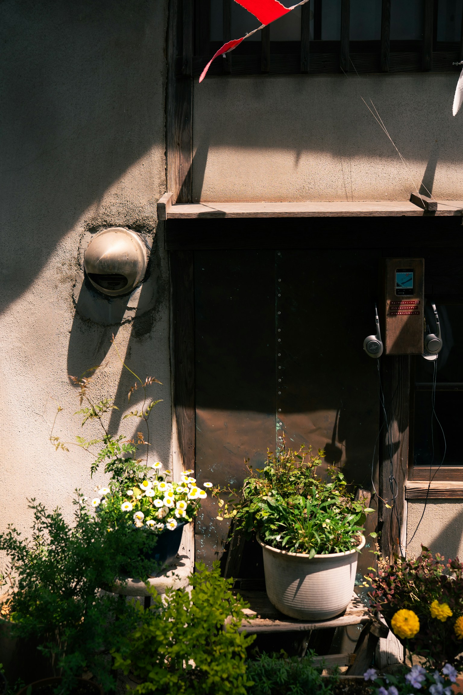 A vintage wall with a telephone and potted plants in front