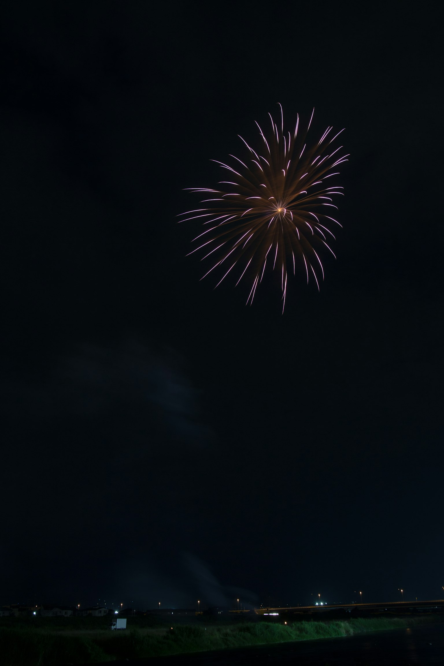 烟花在夜空中绽放