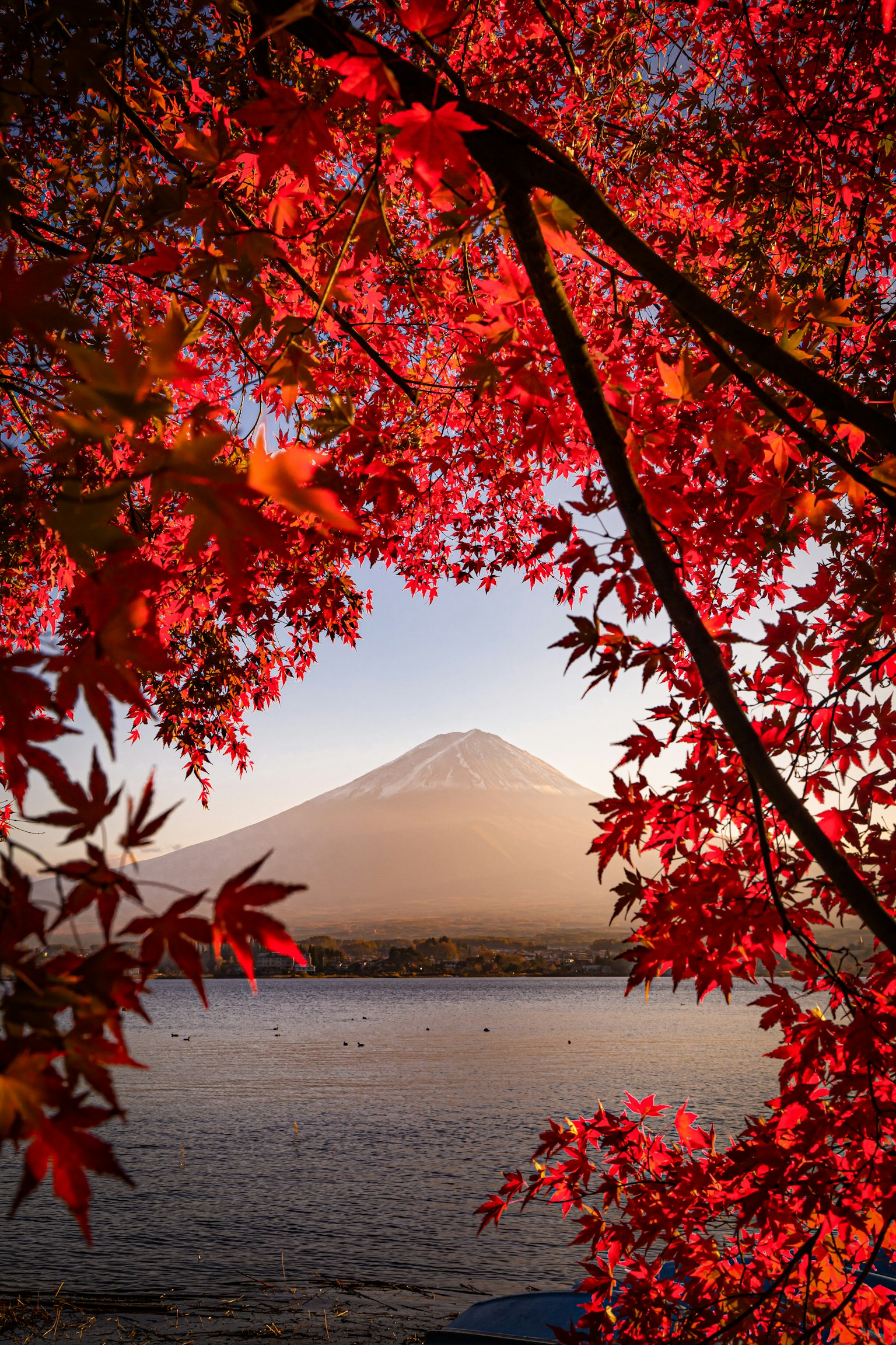 Bella vista del monte Fuji incorniciata da foglie autunnali rosse
