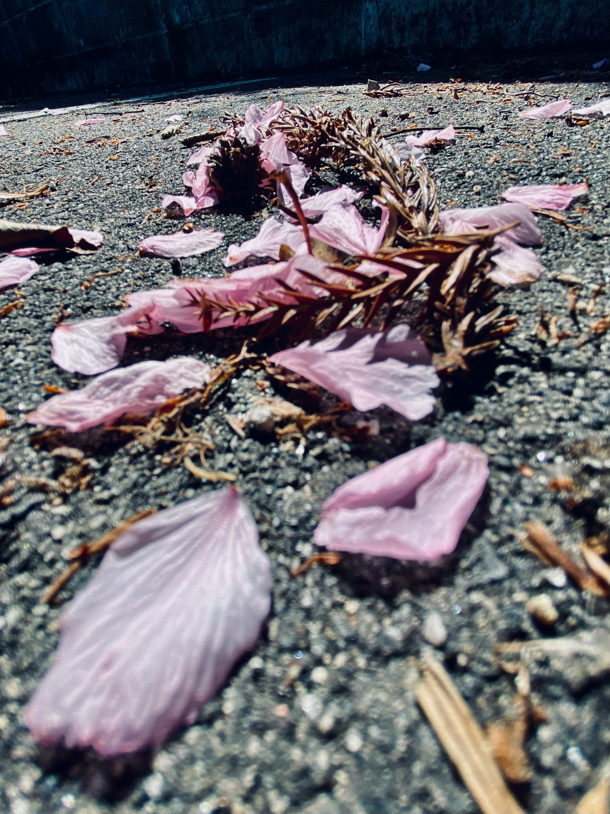 scattered flower bouquets and plastic bags on a road
