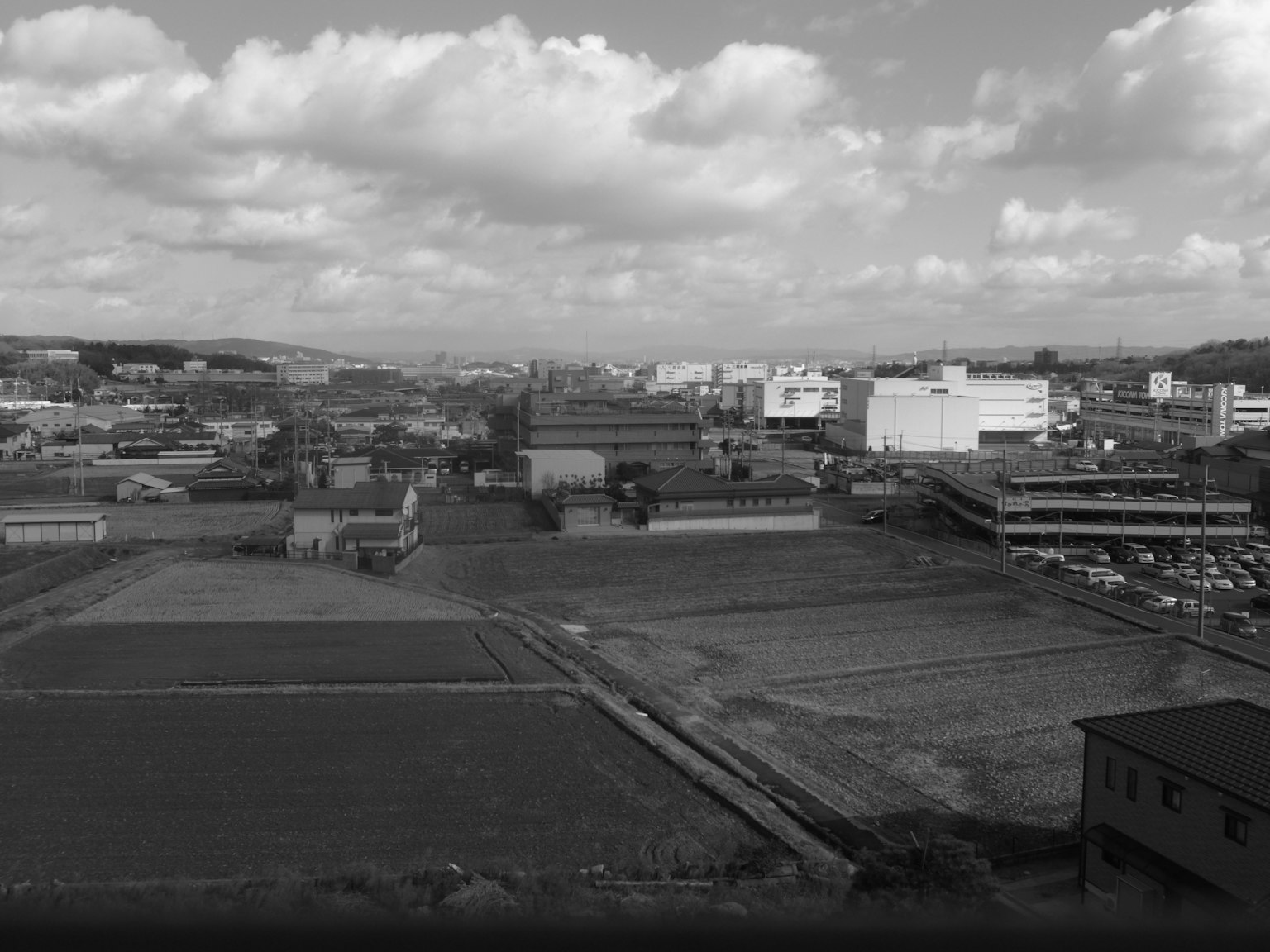 Black and white urban landscape with fields