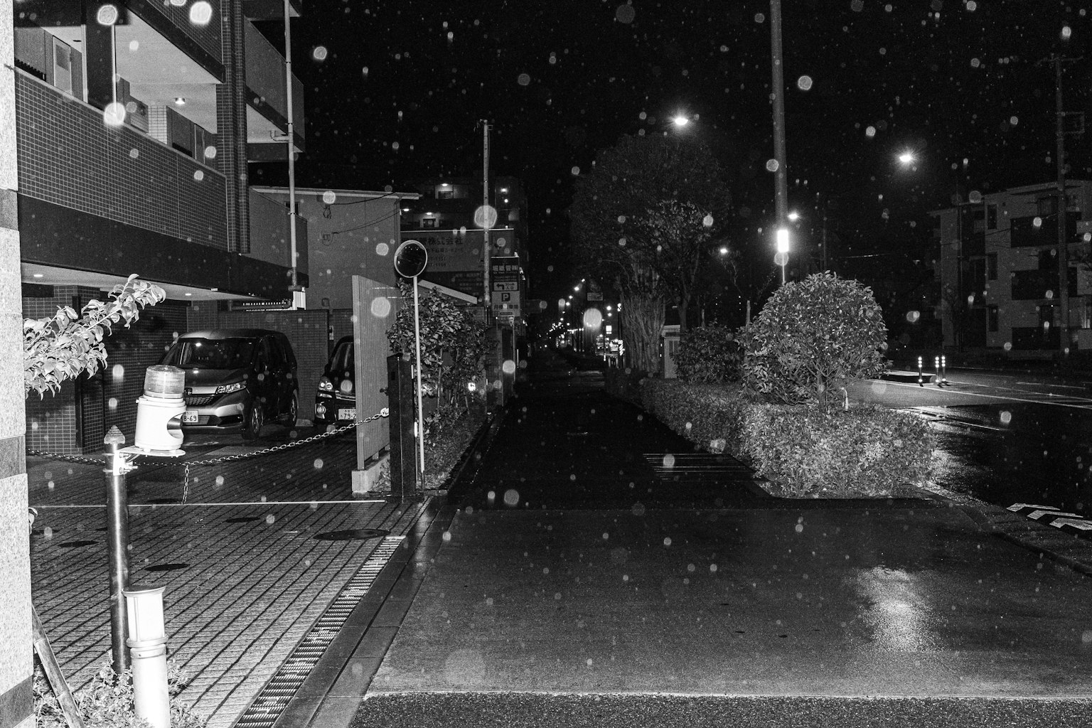 Photo en noir et blanc d'une rue la nuit avec des voitures et des lampadaires