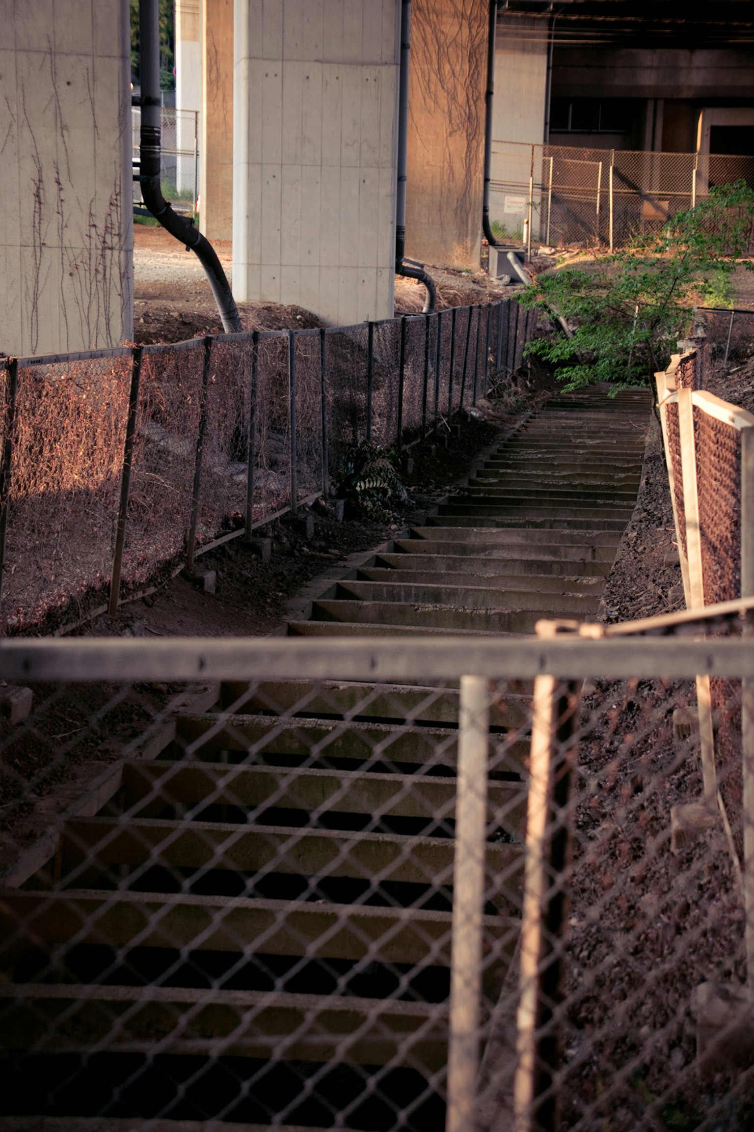 Sentier en bois sous un pont avec une clôture en grillage