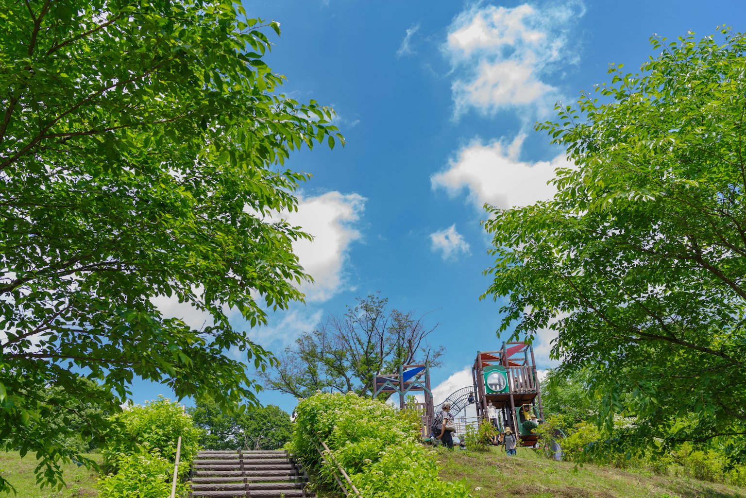 公園內的遊樂設施和樓梯在藍天和綠色樹木的環繞下