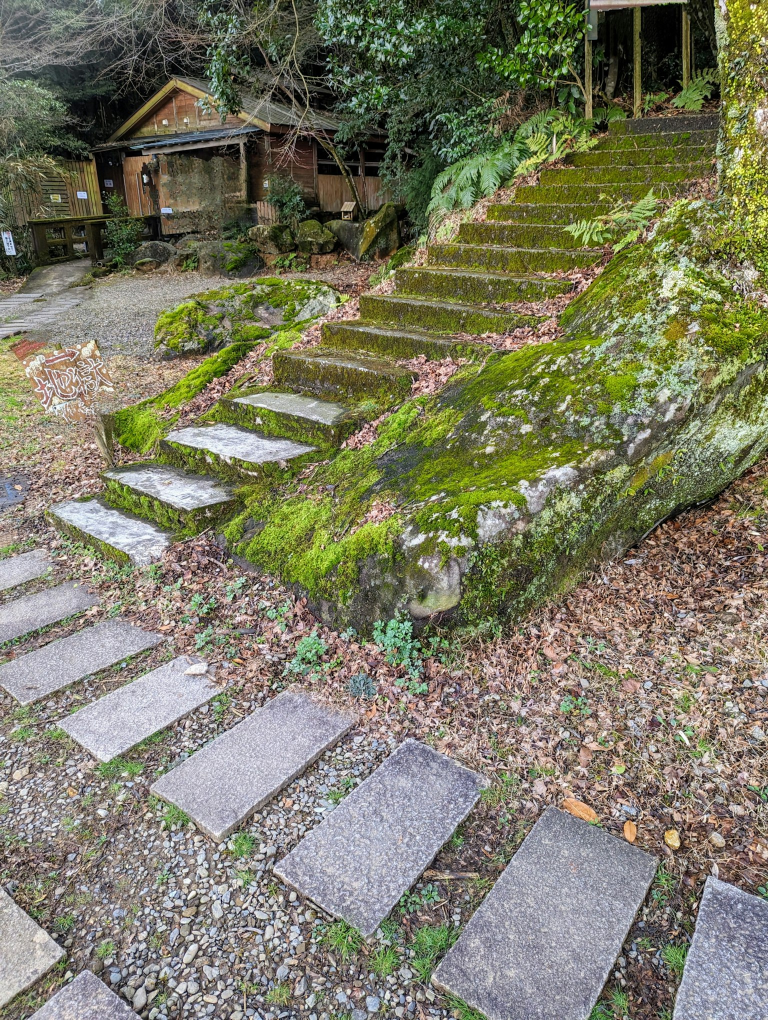 Escena de jardín serena con escalones de piedra cubiertos de musgo y escaleras de madera