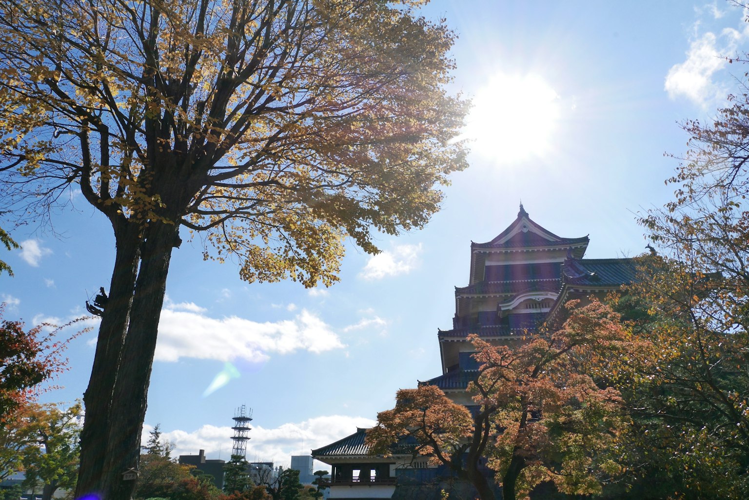 Castle surrounded by autumn trees under a clear blue sky