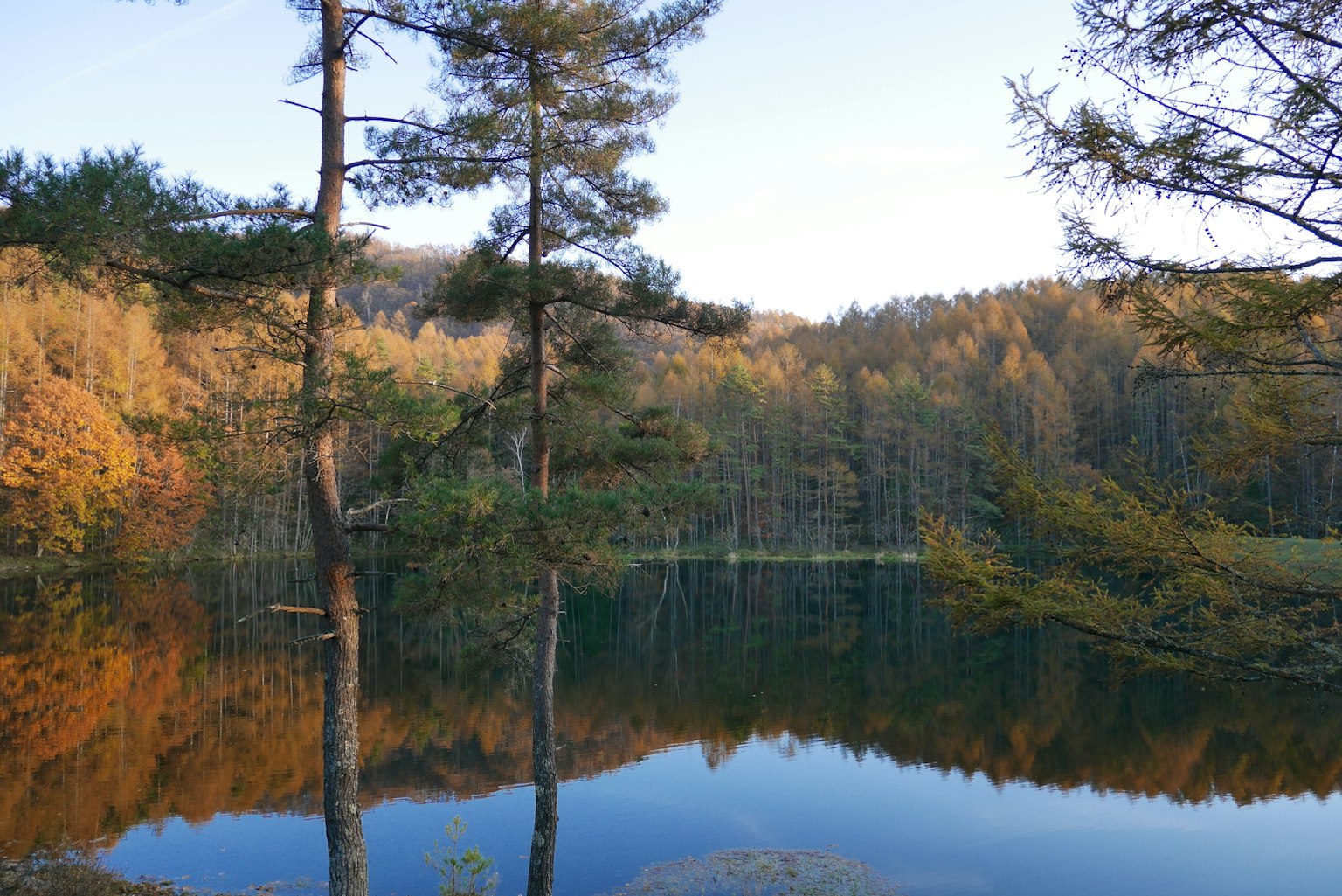 静かな湖と秋の森林の反射が美しい風景