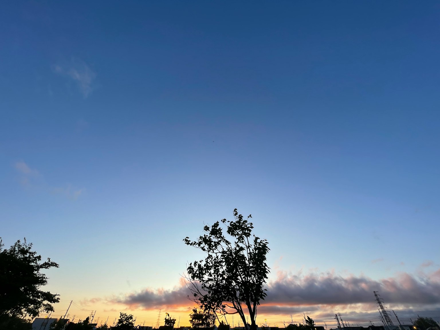 Silueta de un árbol contra un cielo azul y un atardecer