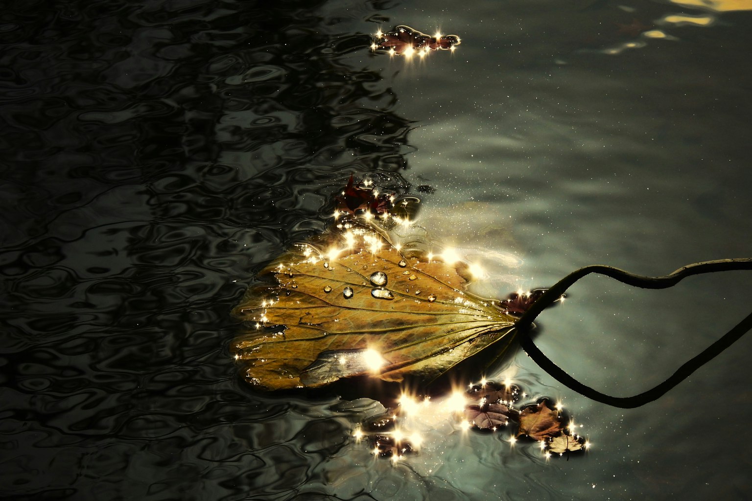 photo-AgvWF4WOEerWDmDHIwiJ-image