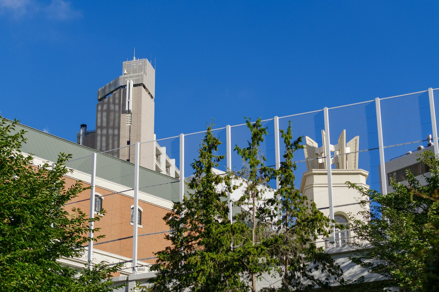 城市风景，包含高层建筑和绿色植物