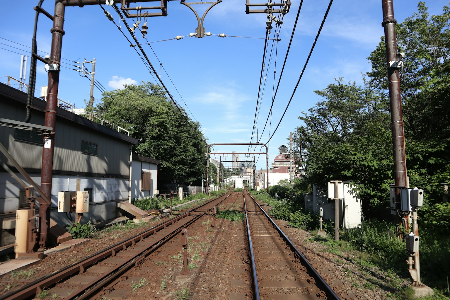 มุมมองของรางรถไฟที่ถูกล้อมรอบด้วยพฤกษชาติ